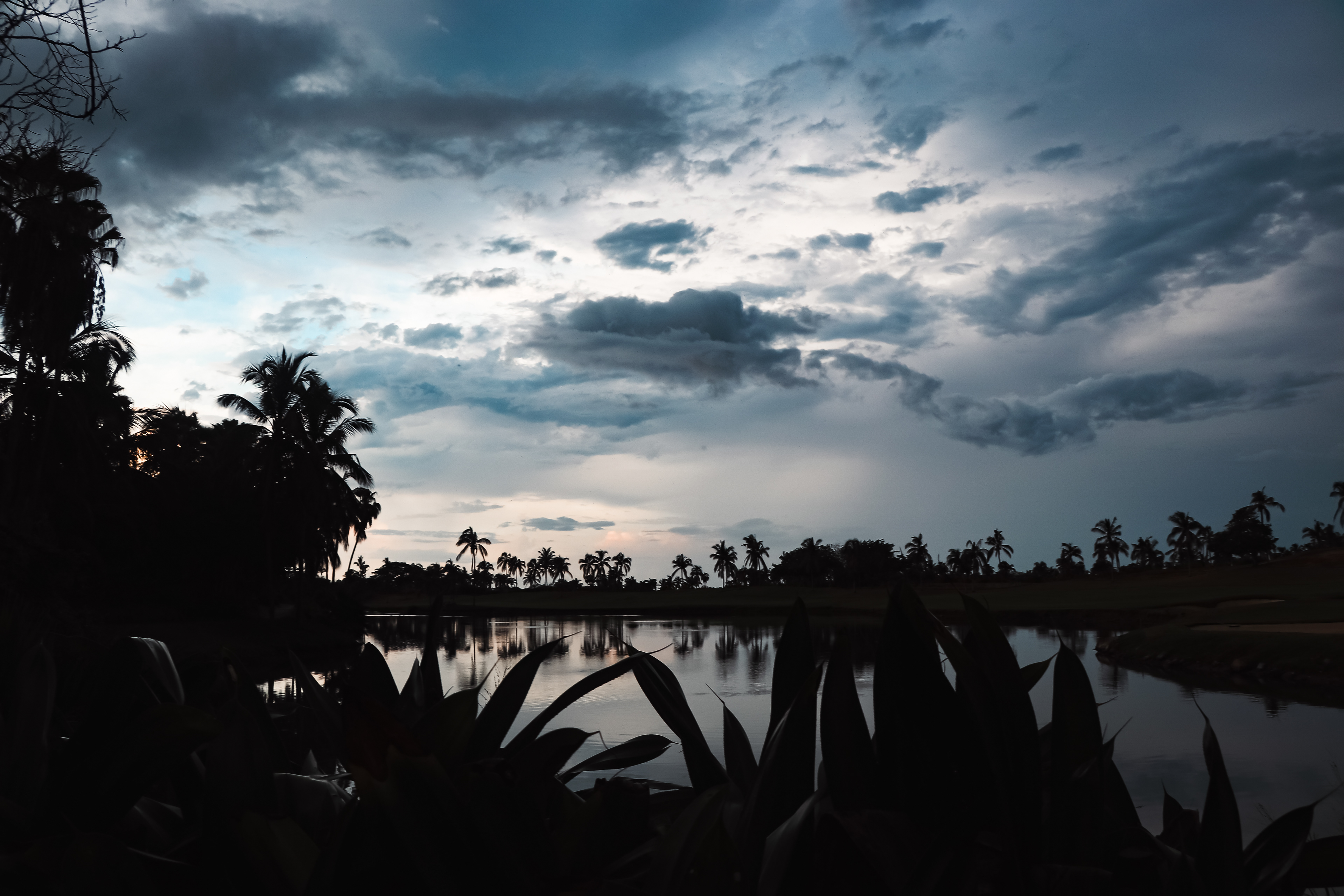The Falling Iguana Lagoon