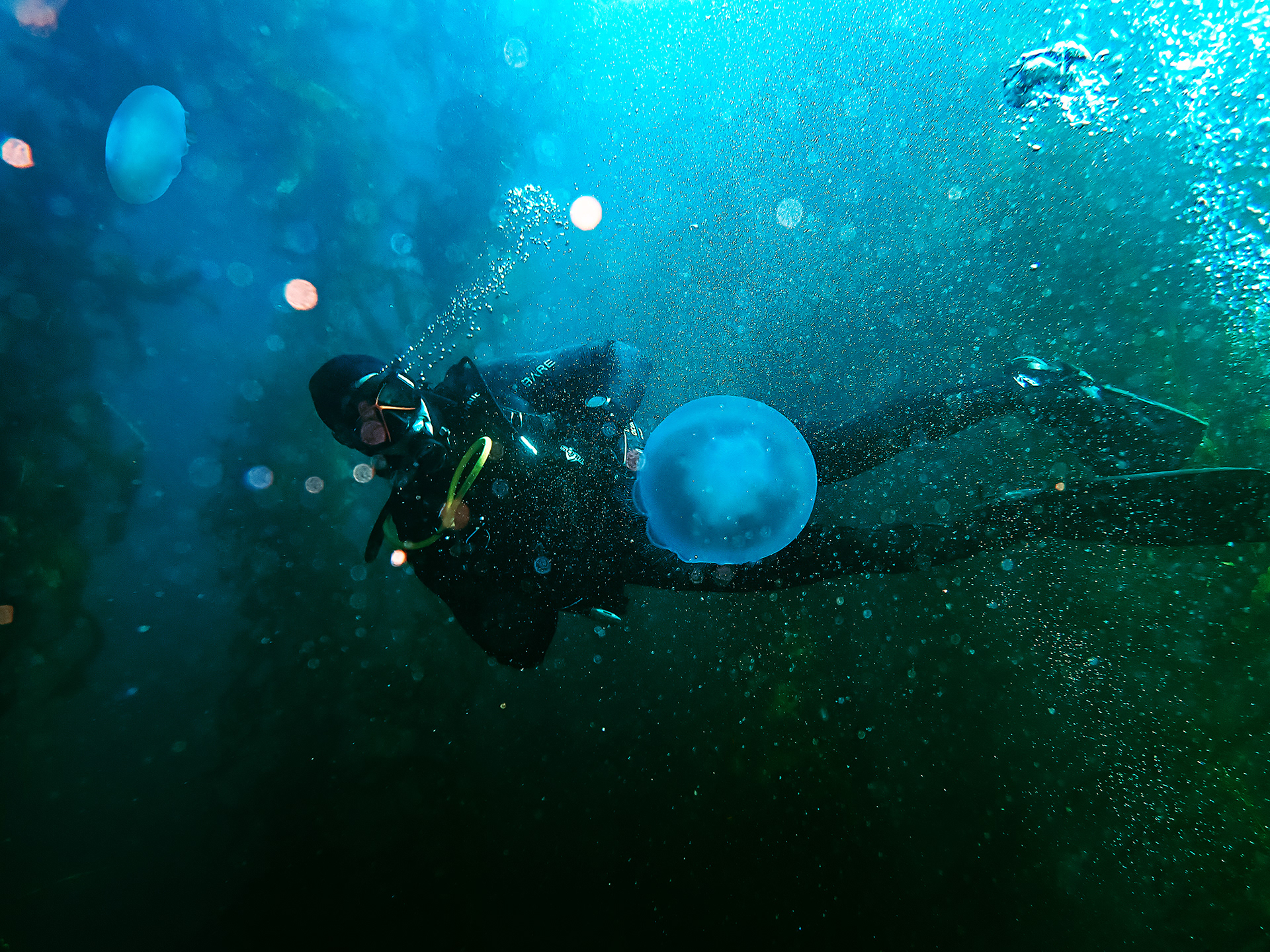 The Moon Under the Sea