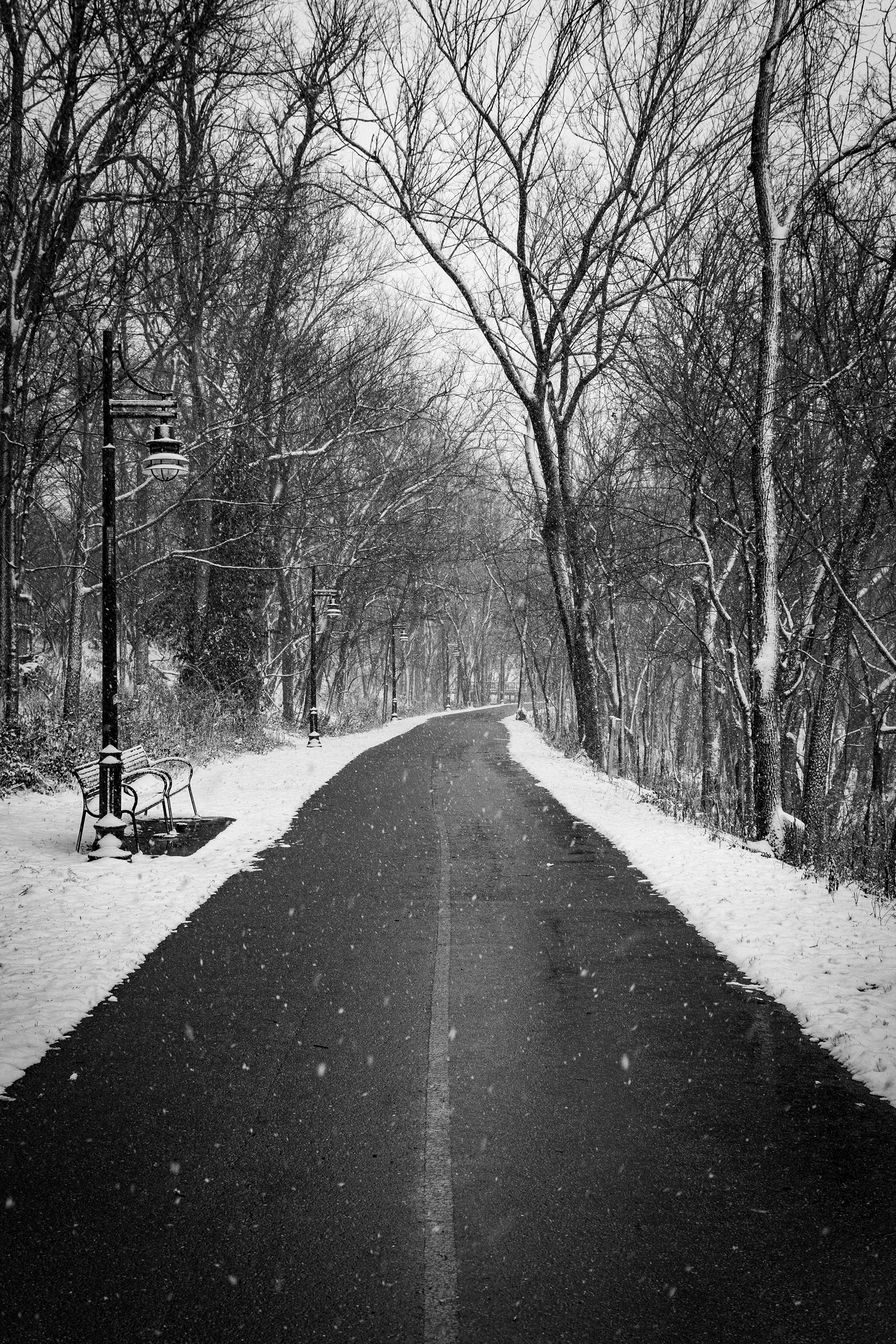 My favorite snow picture (Canon Rebel T6)