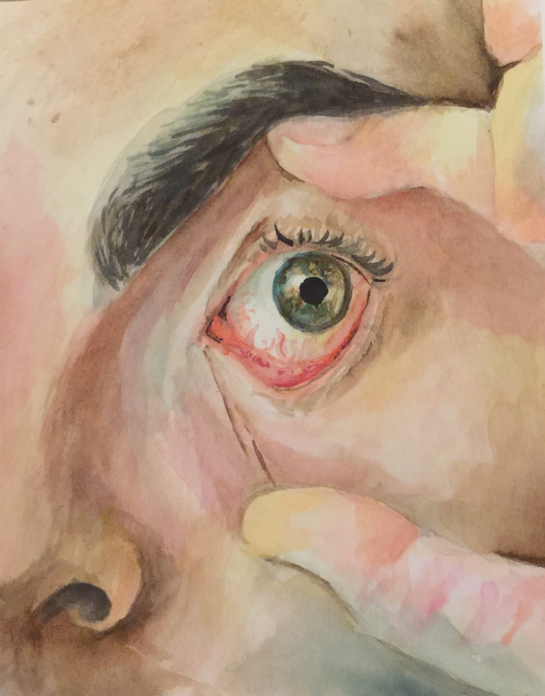 Watercolor study. 10 x 7 in.