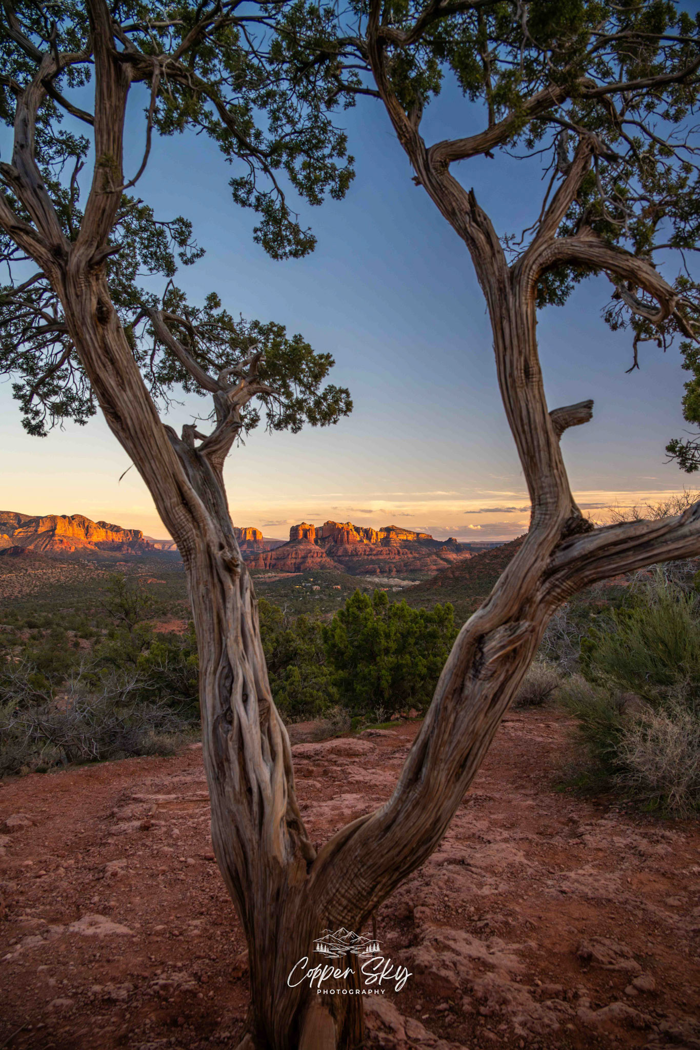Cathedral Rock Sunset