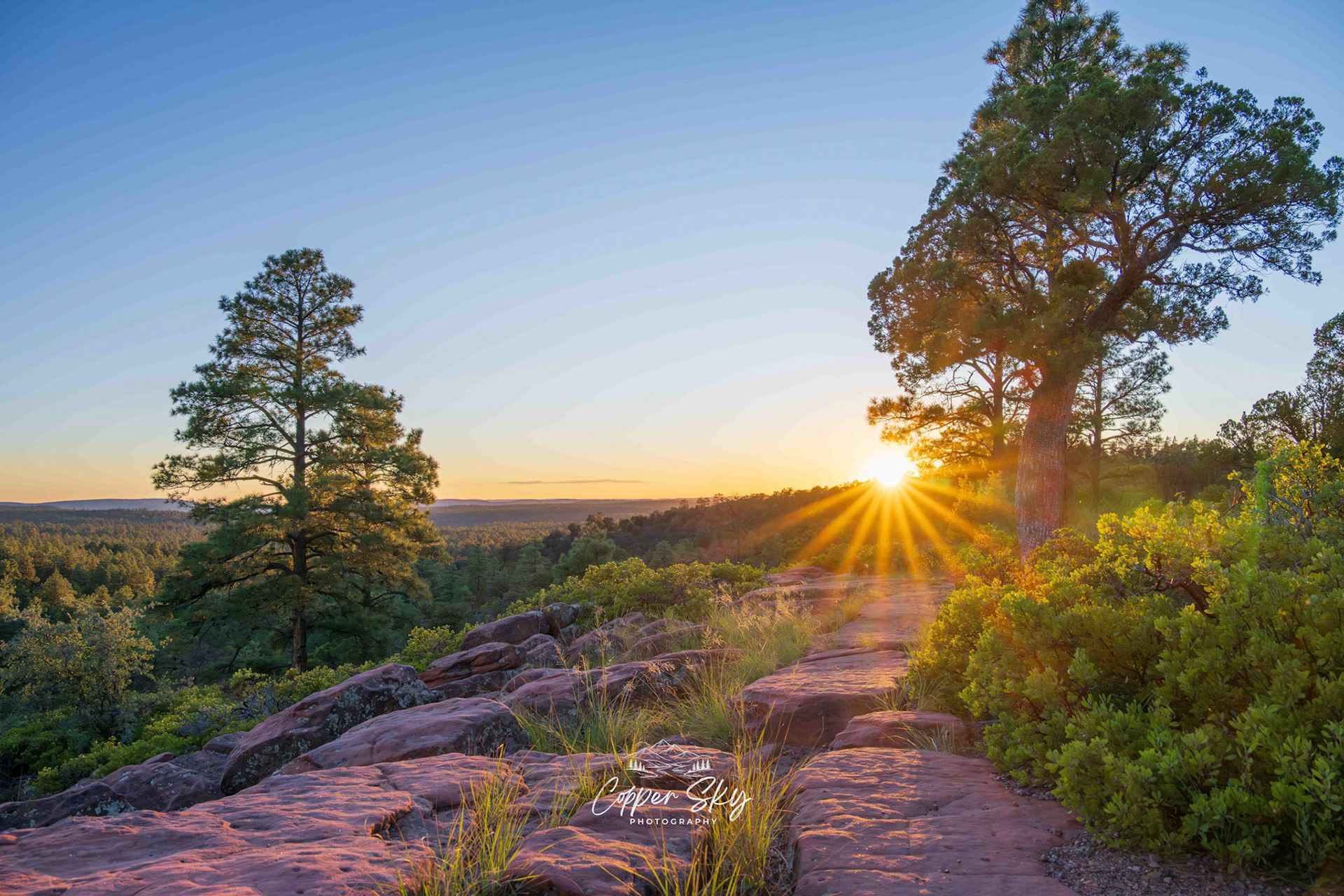 Mogollon Rim Pinetop, Arizona