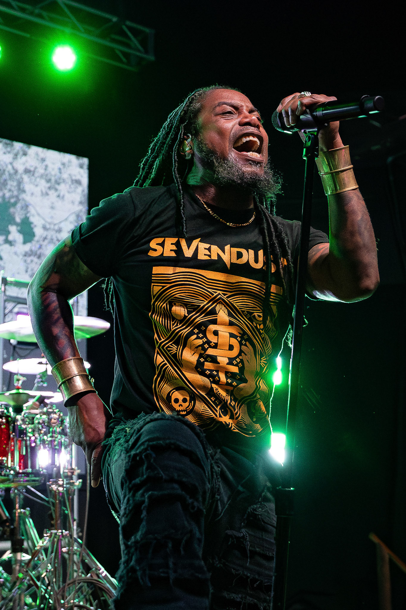 Sevendust - 2024