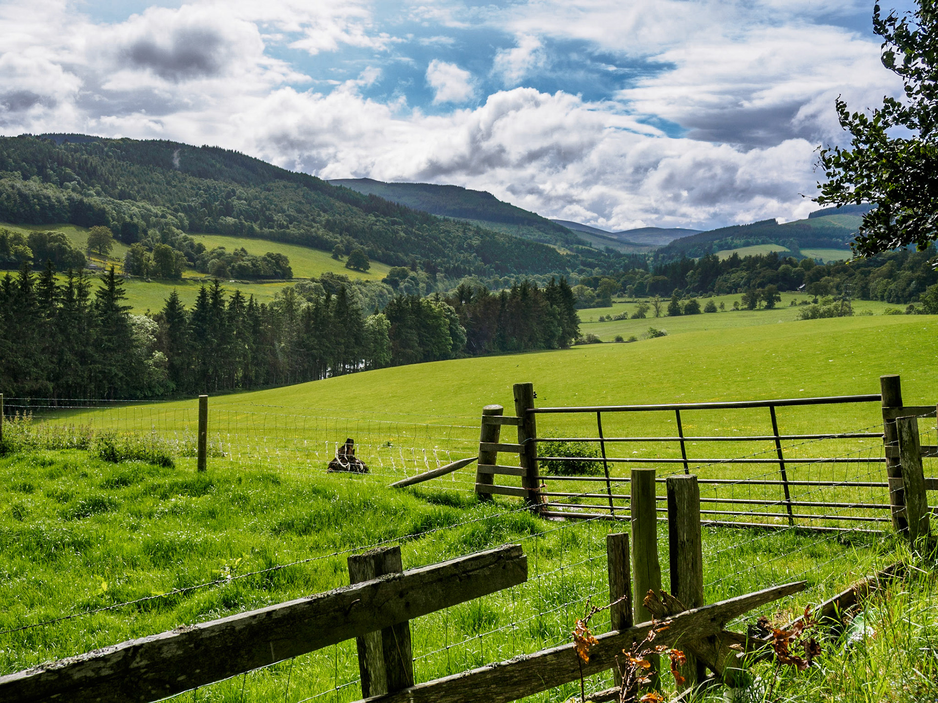Tweed Valley