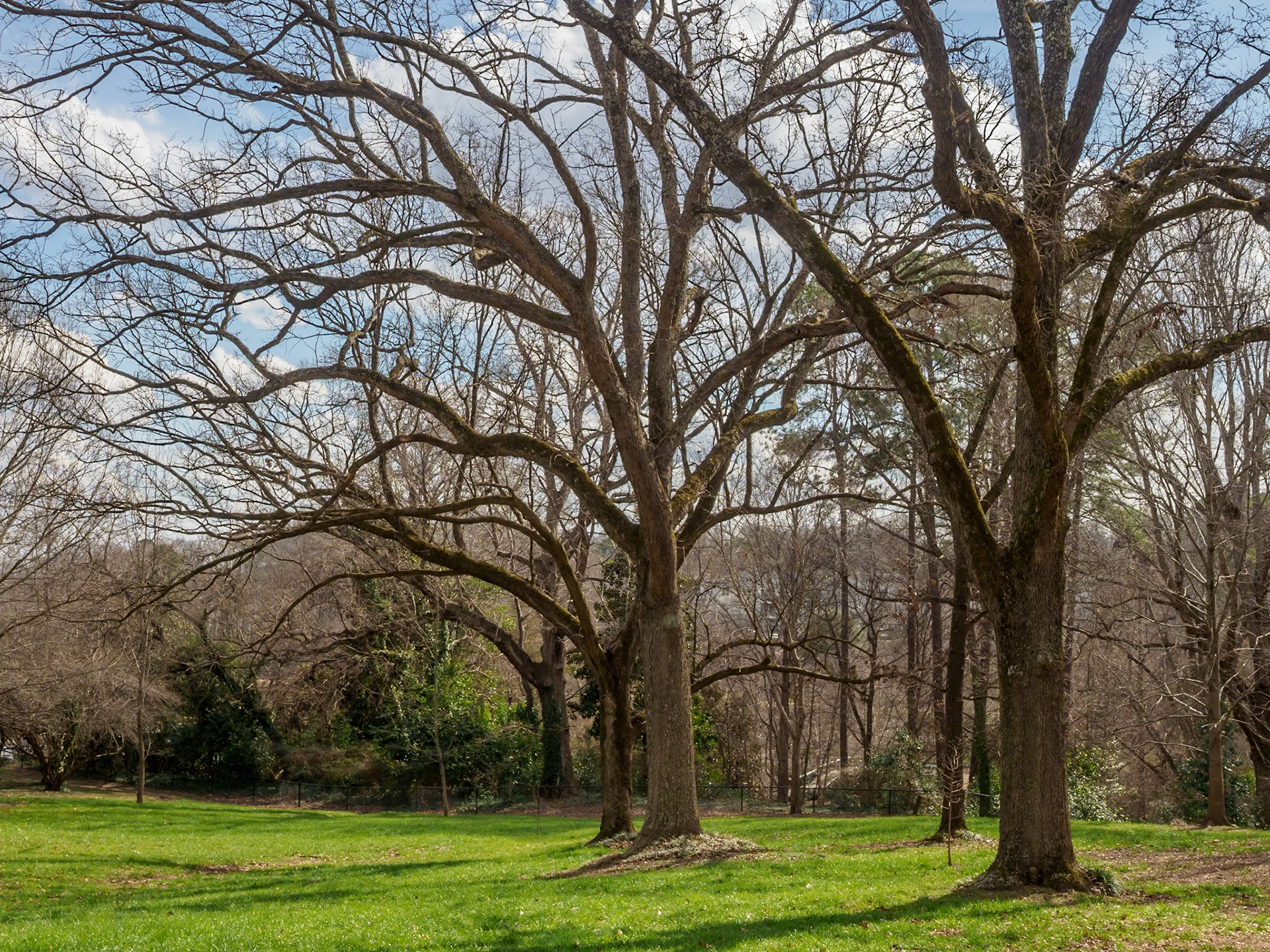 Pullen Park, Raleigh, NC