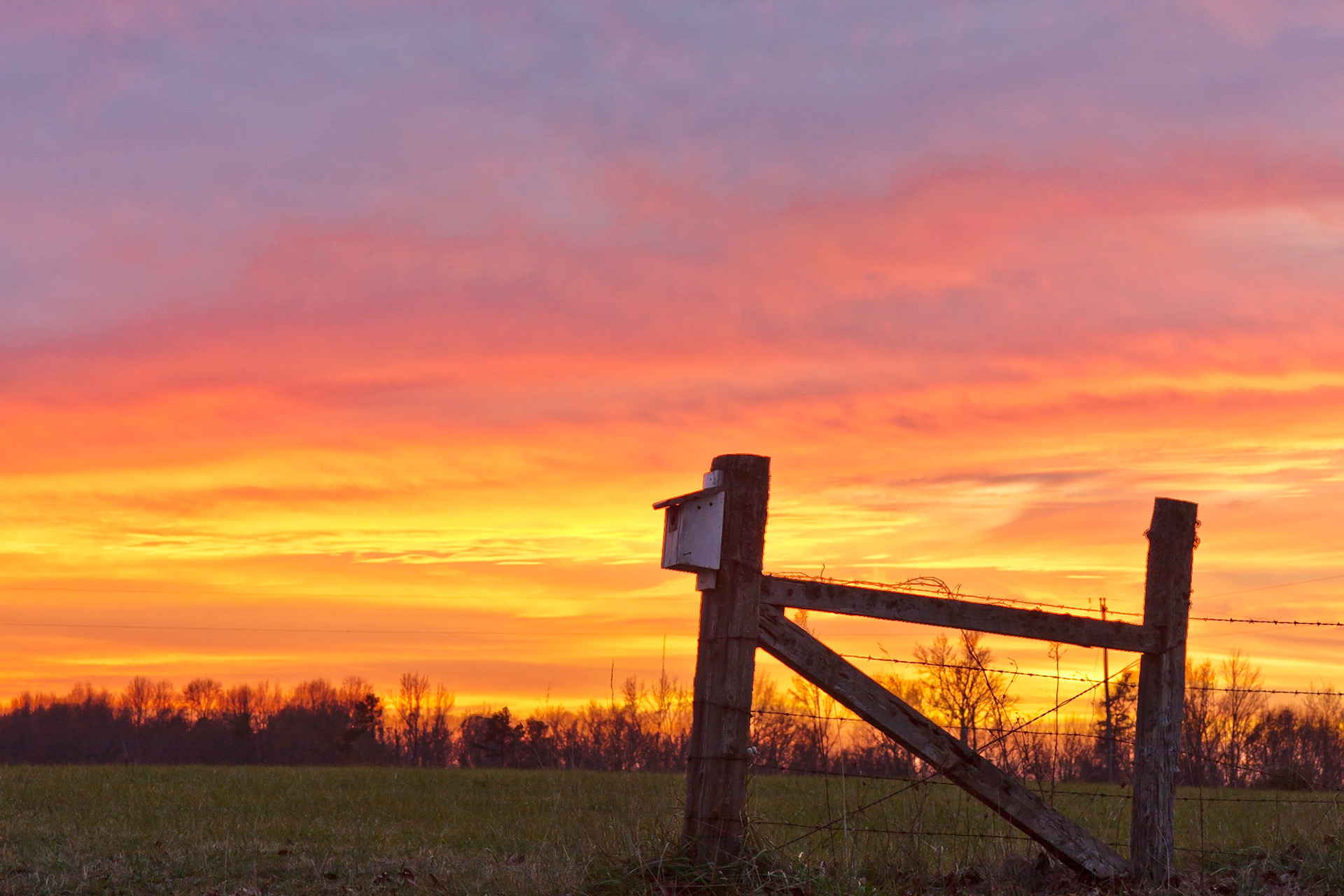 Chase City, Virginia