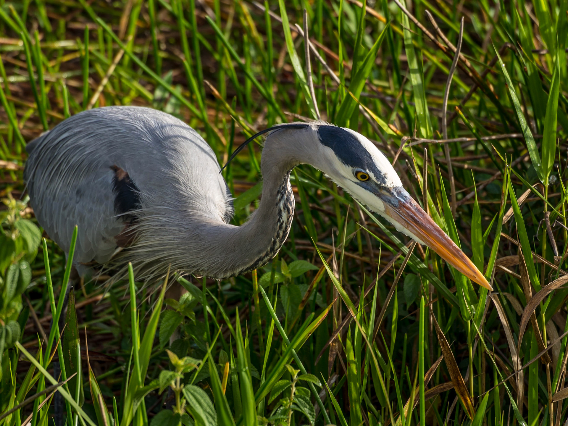 Everglades National Park, Florida