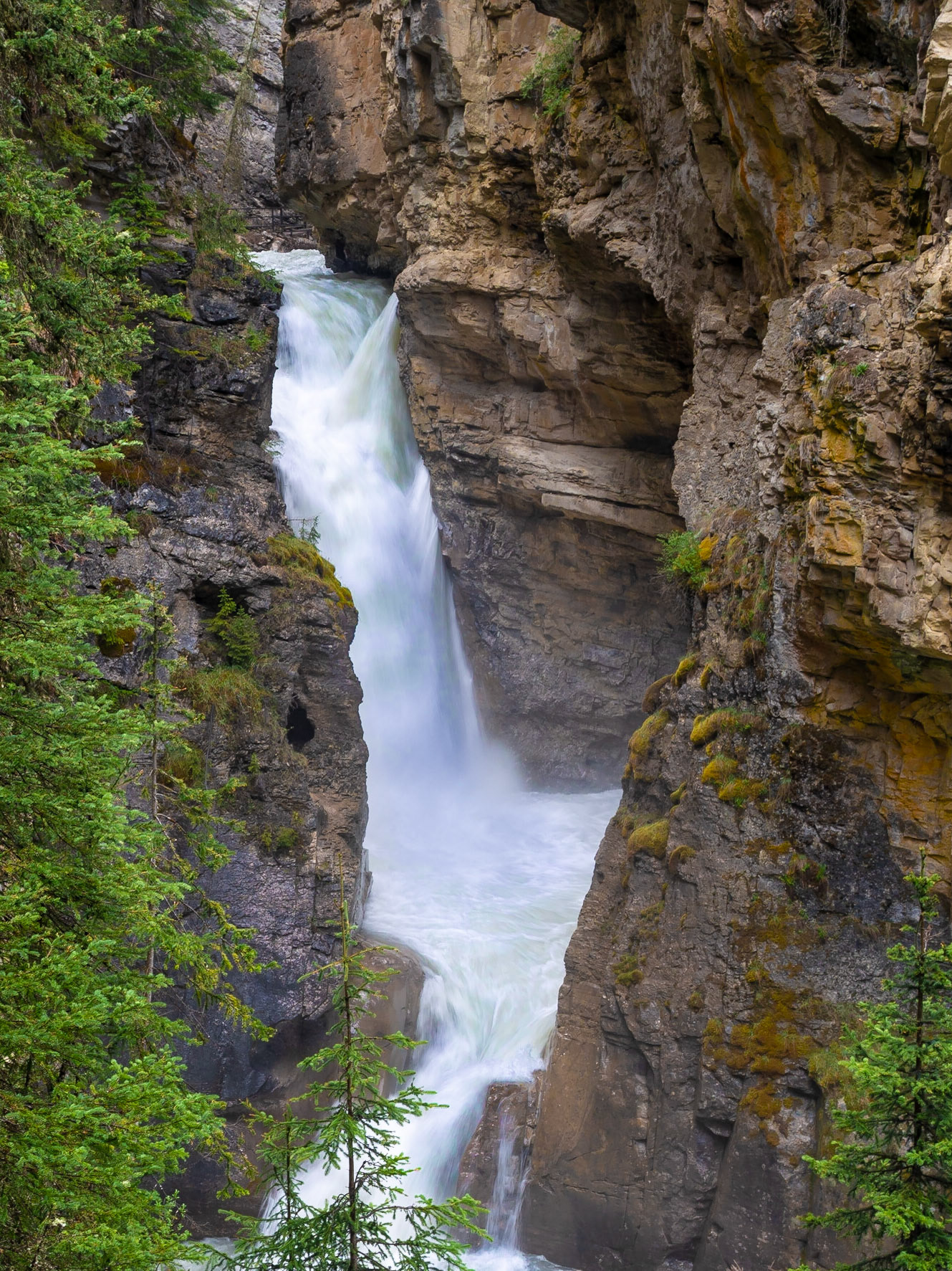 Johnston Canyon
