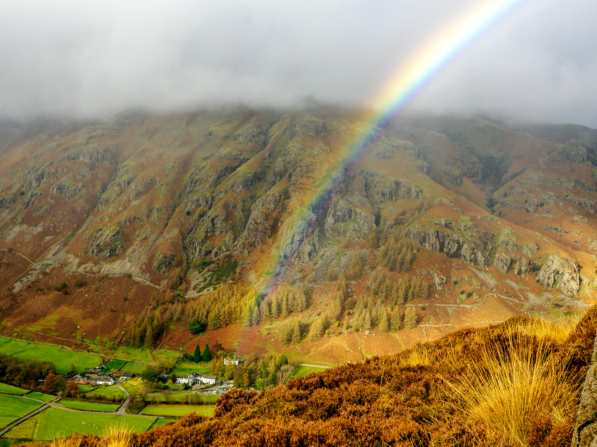 Blea Tarn-Lingmoor Fell-Side Pike hike