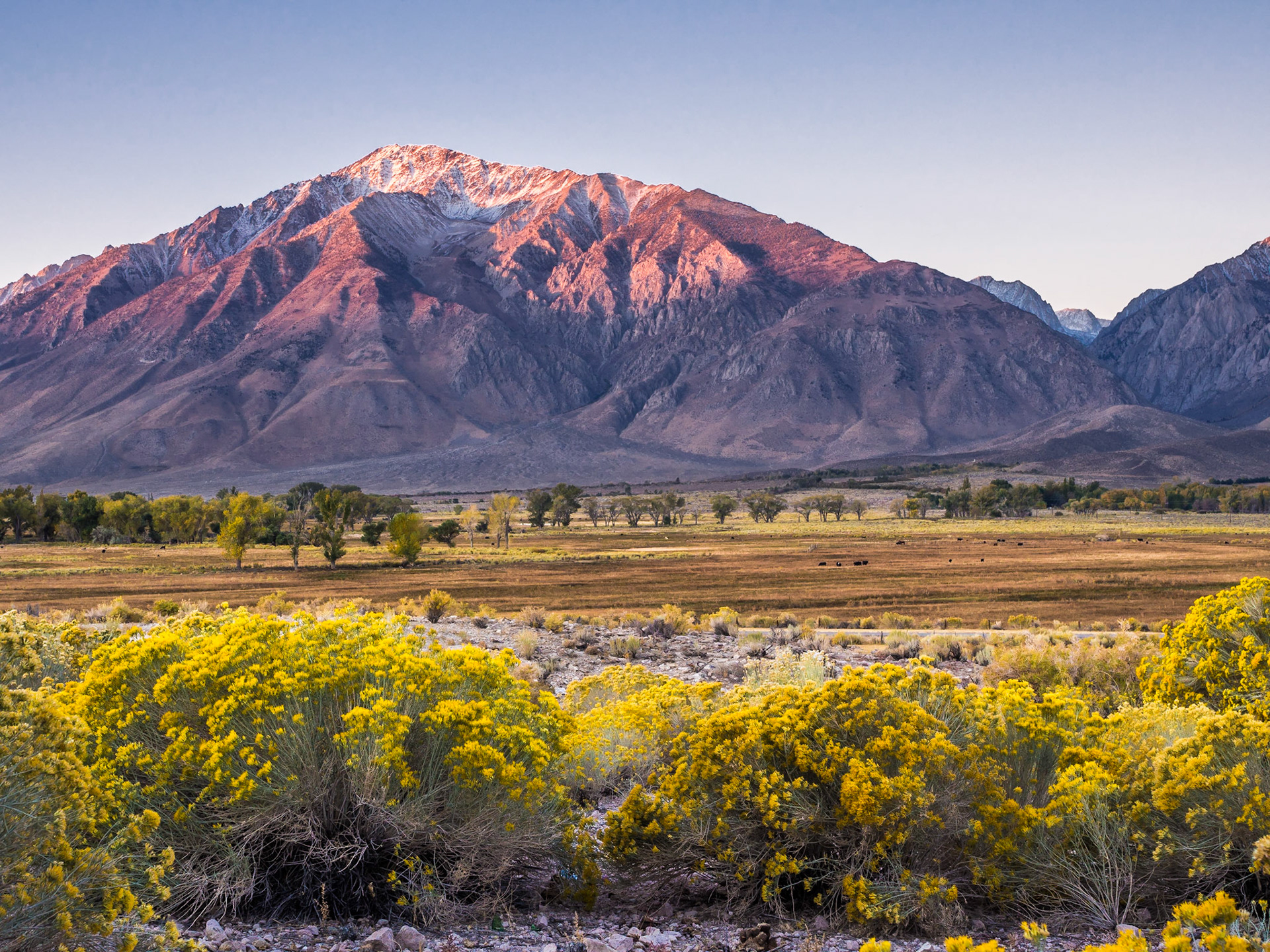 First Light on the Sierras Around Bishop