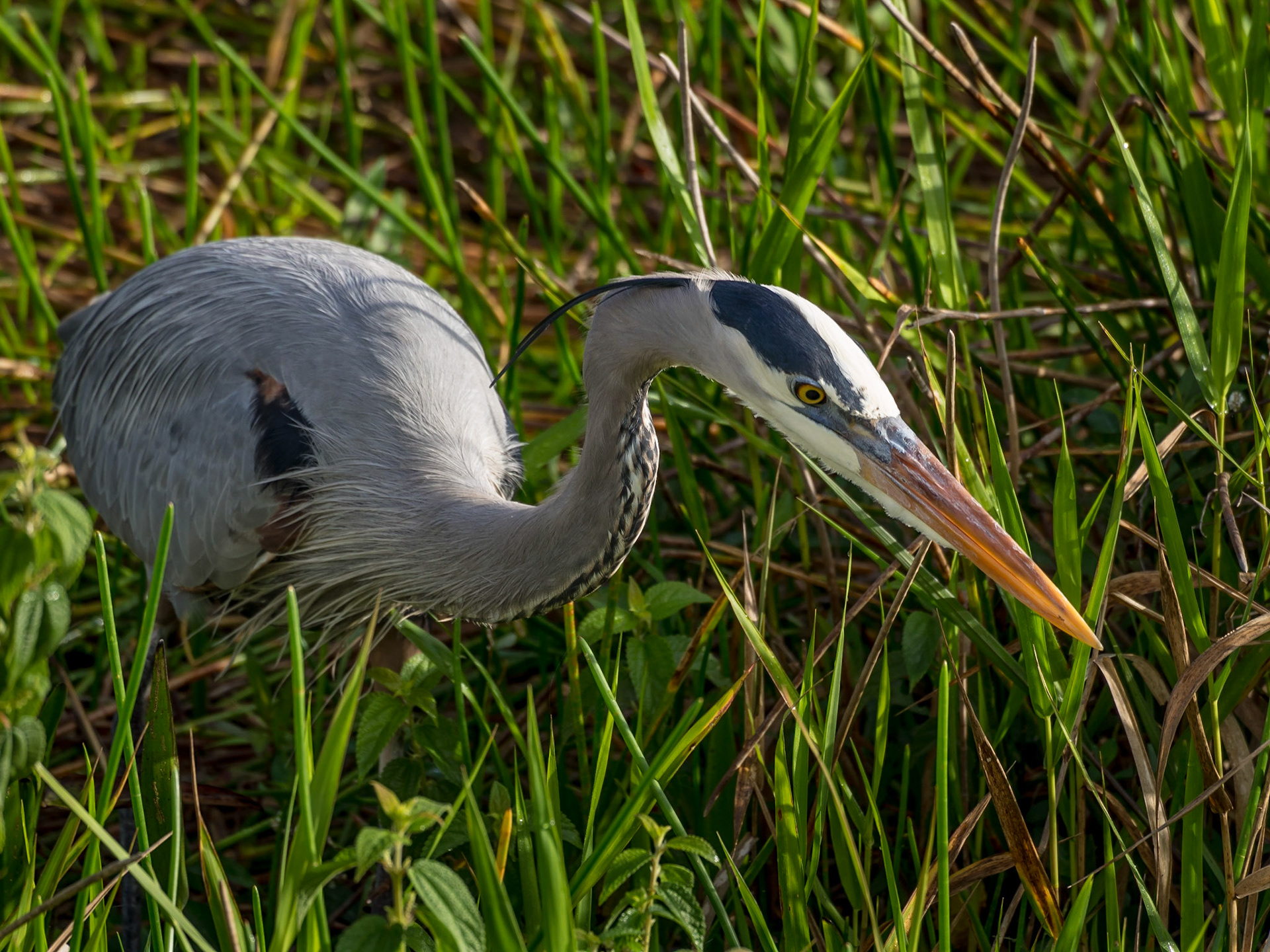 Everglades National Park