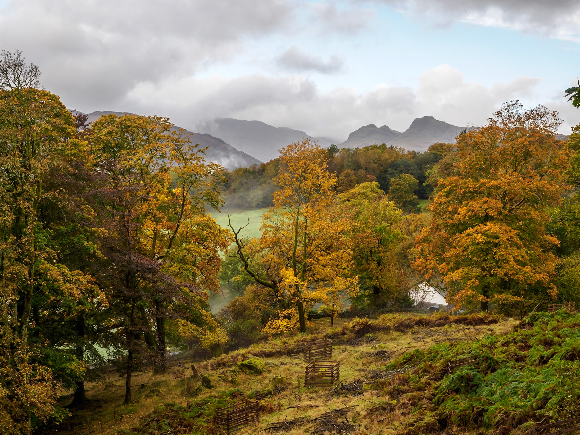Loughrigg Fell