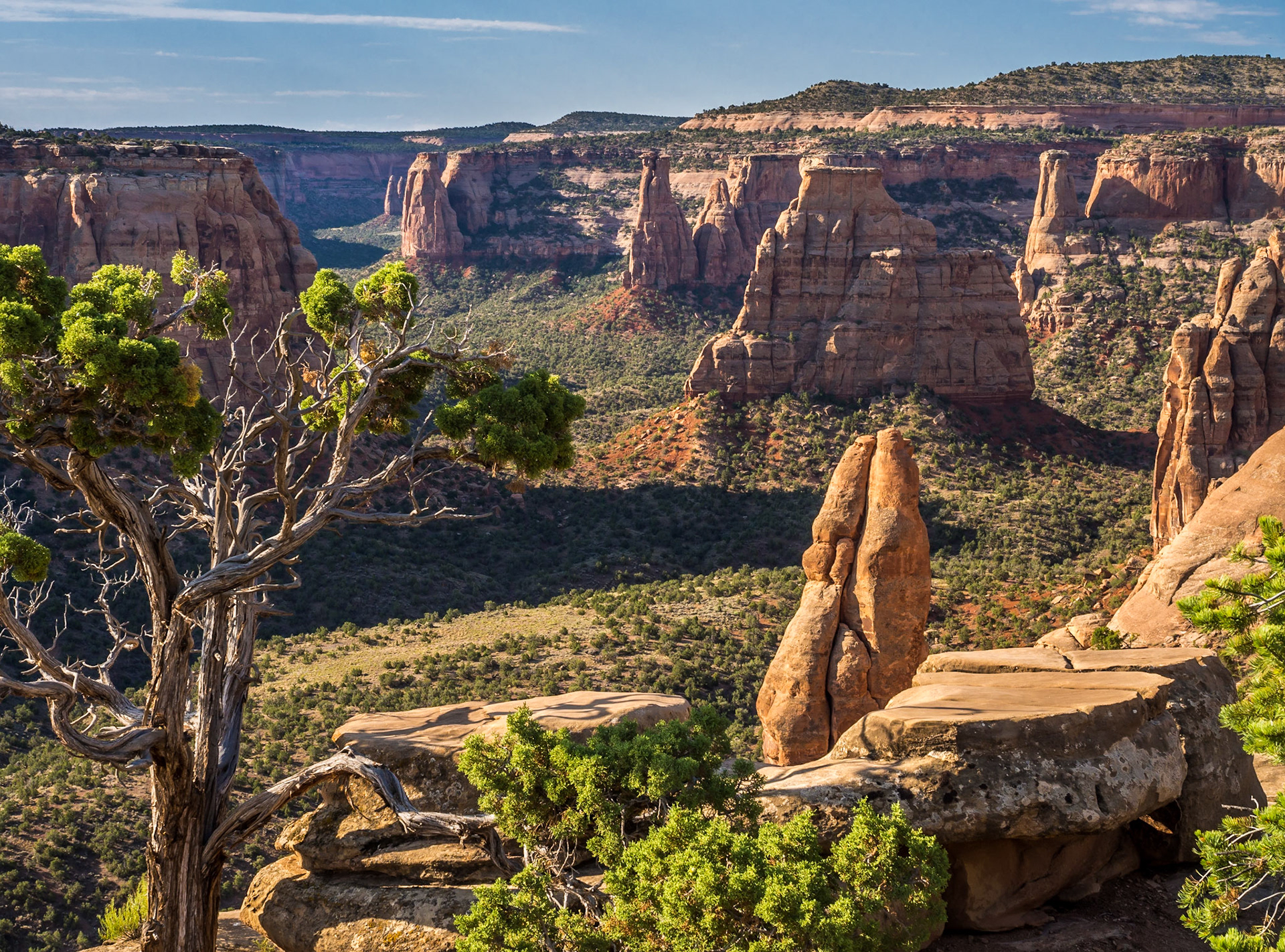 Monoliths in Monument Canyon from the Window Rock Trail