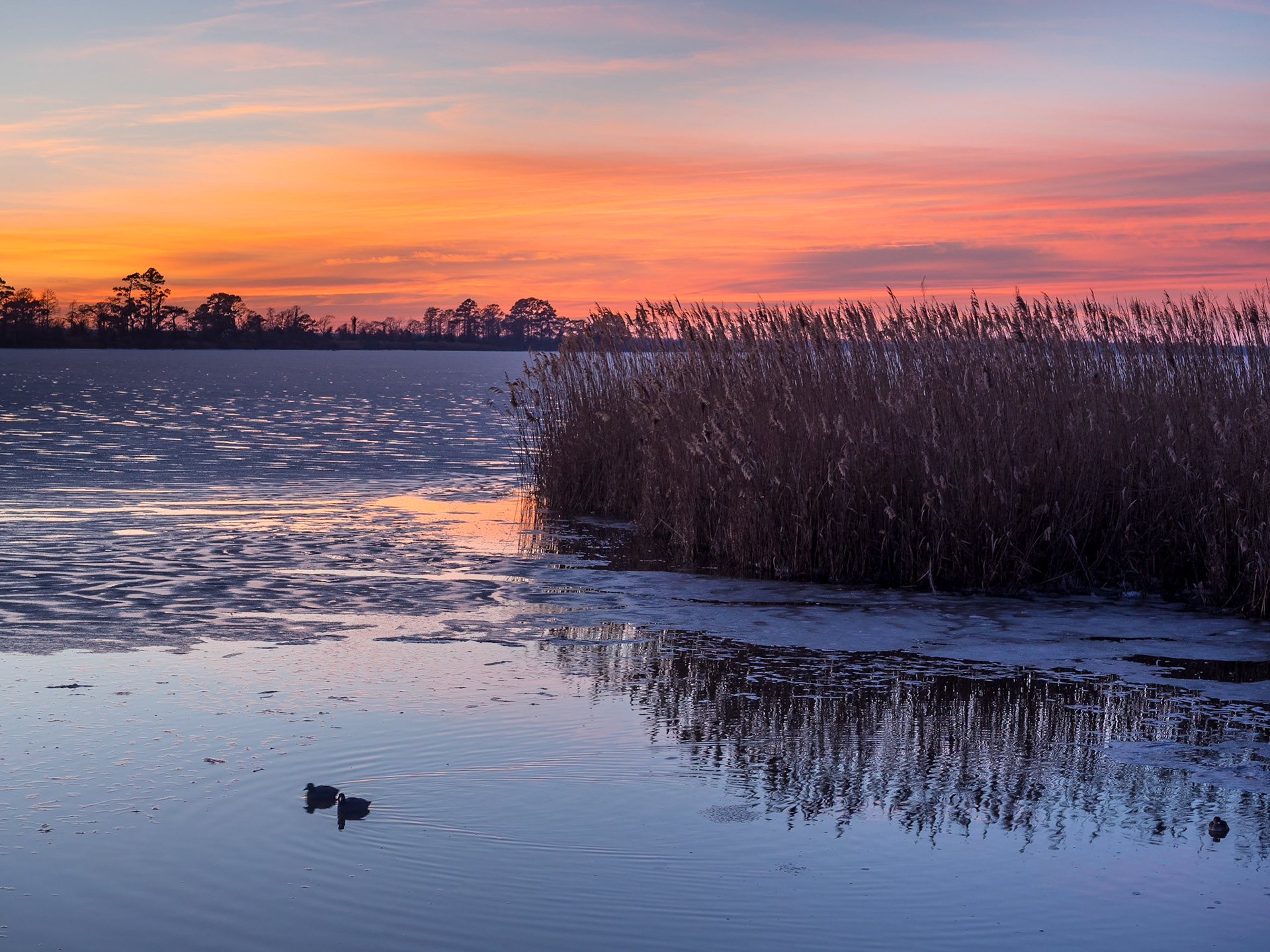 Lake Mattamuskeet, North Carolina