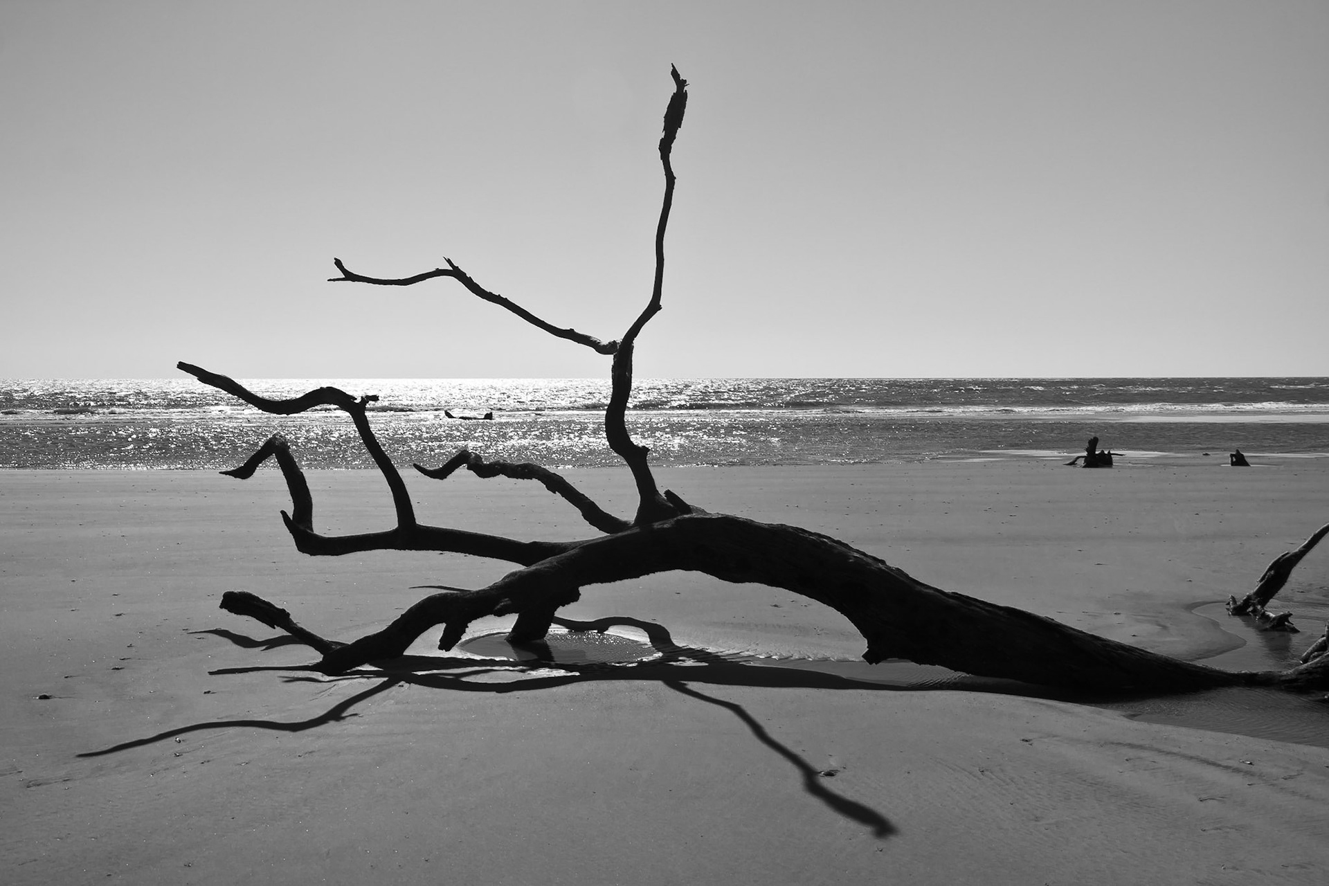 Capers Island, South Carolina