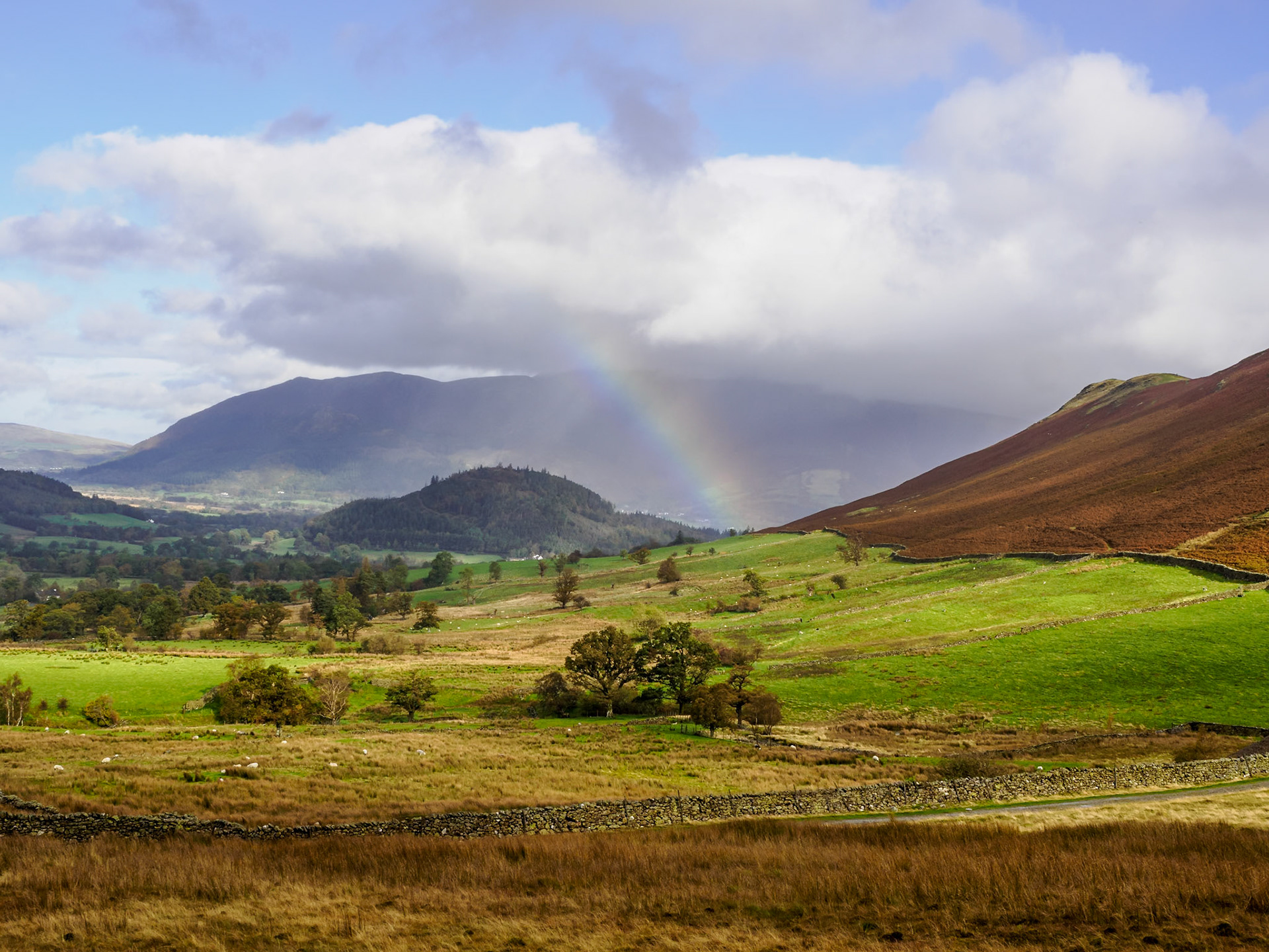 Cat Bells hike