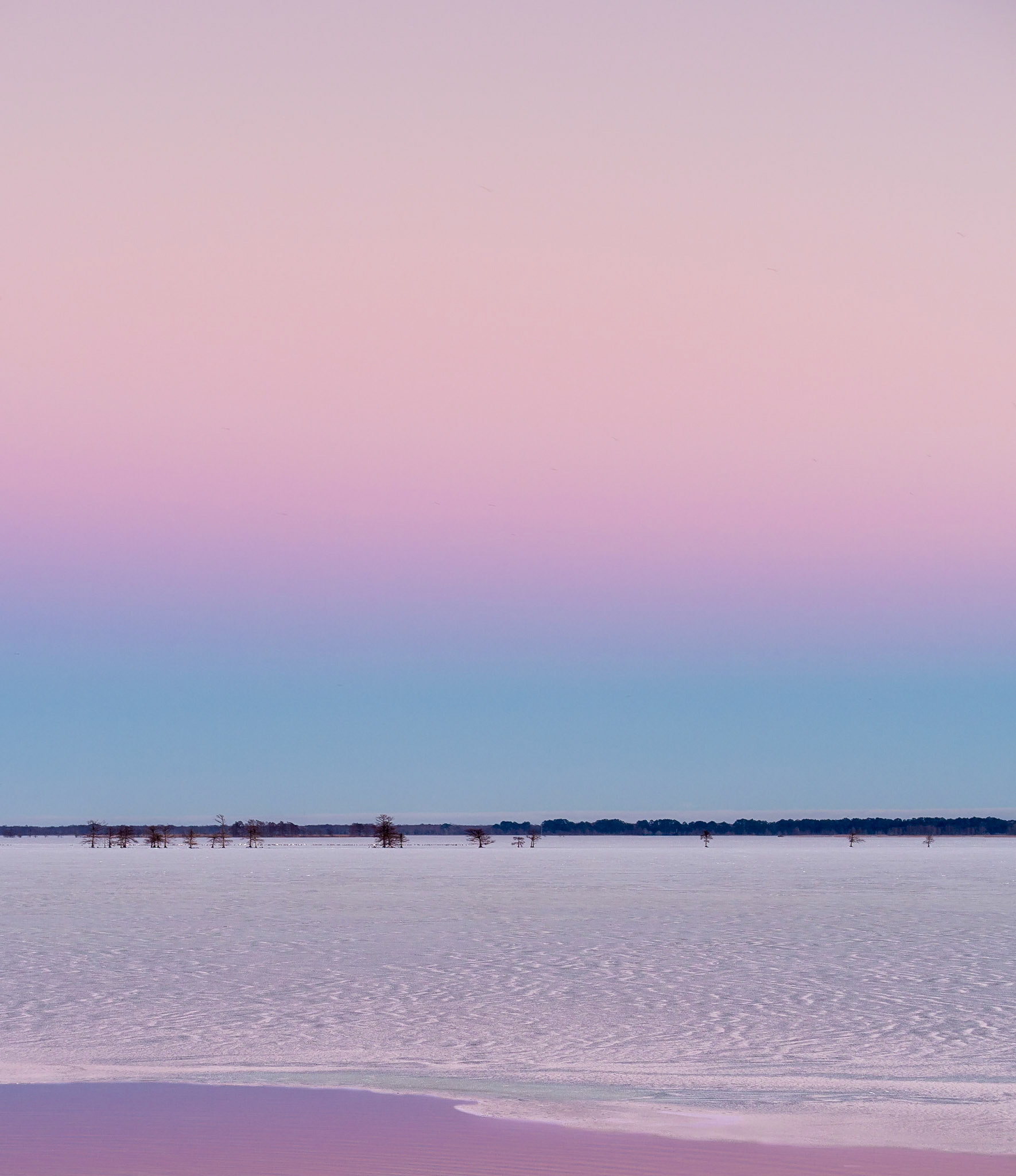 Lake Mattamuskeet, North Carolina
