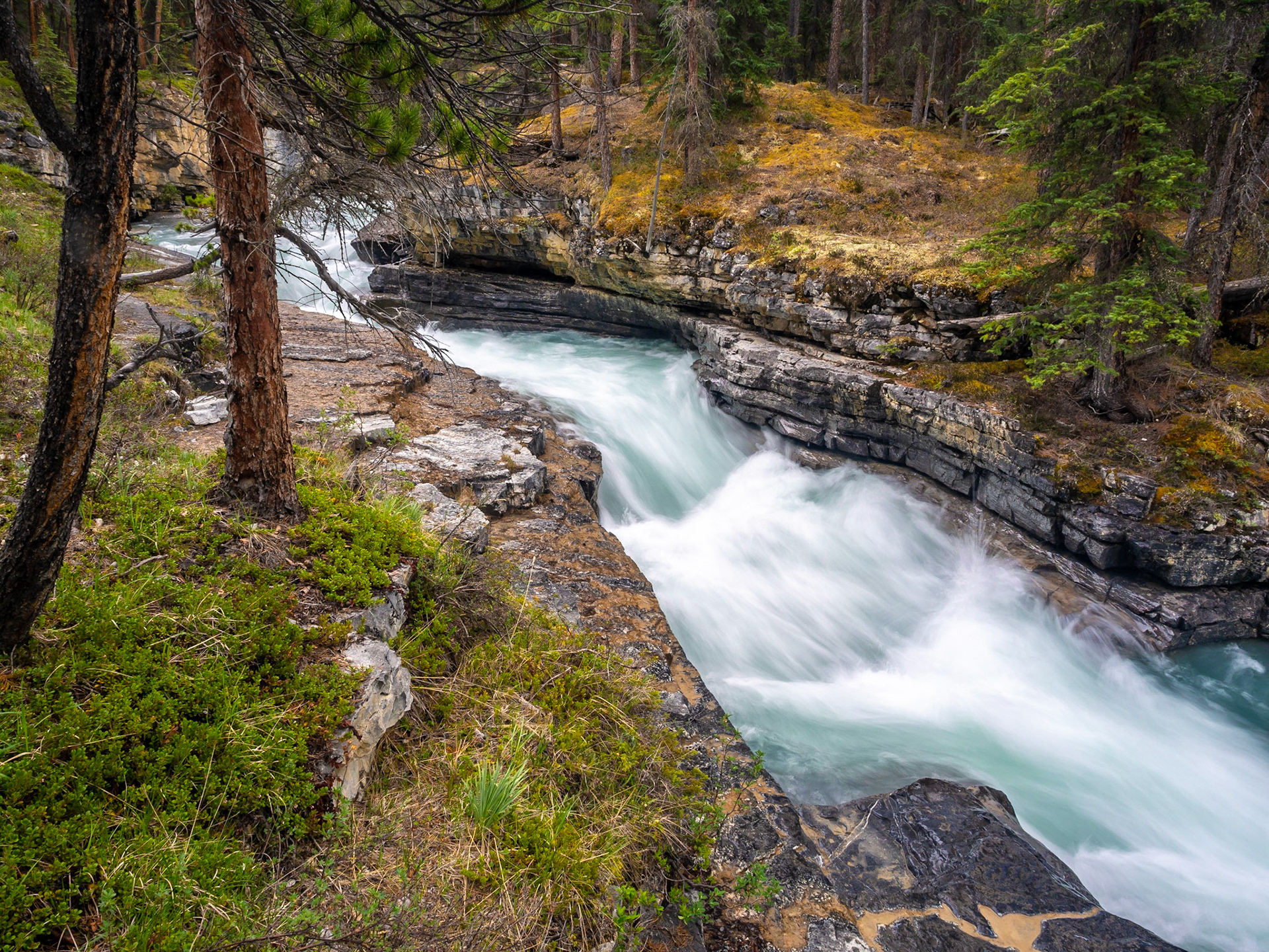 Alberta, Canada
