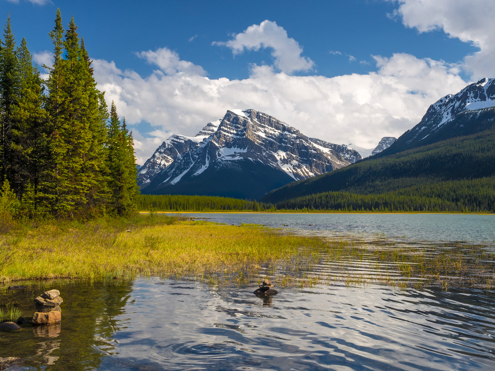 Waterfowl Lakes