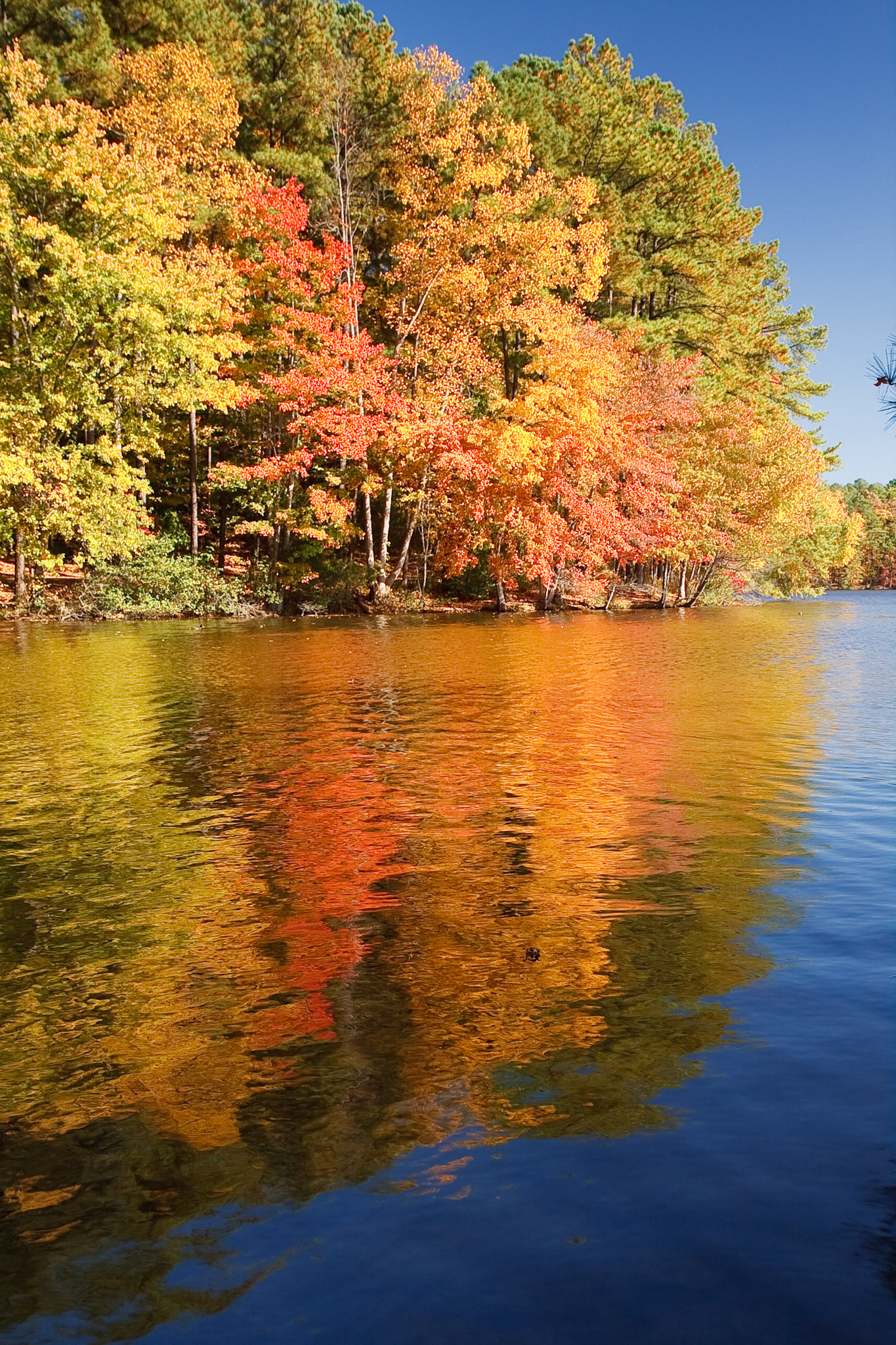 © Copyright 2008 Dan Roeder. All rights reserved.