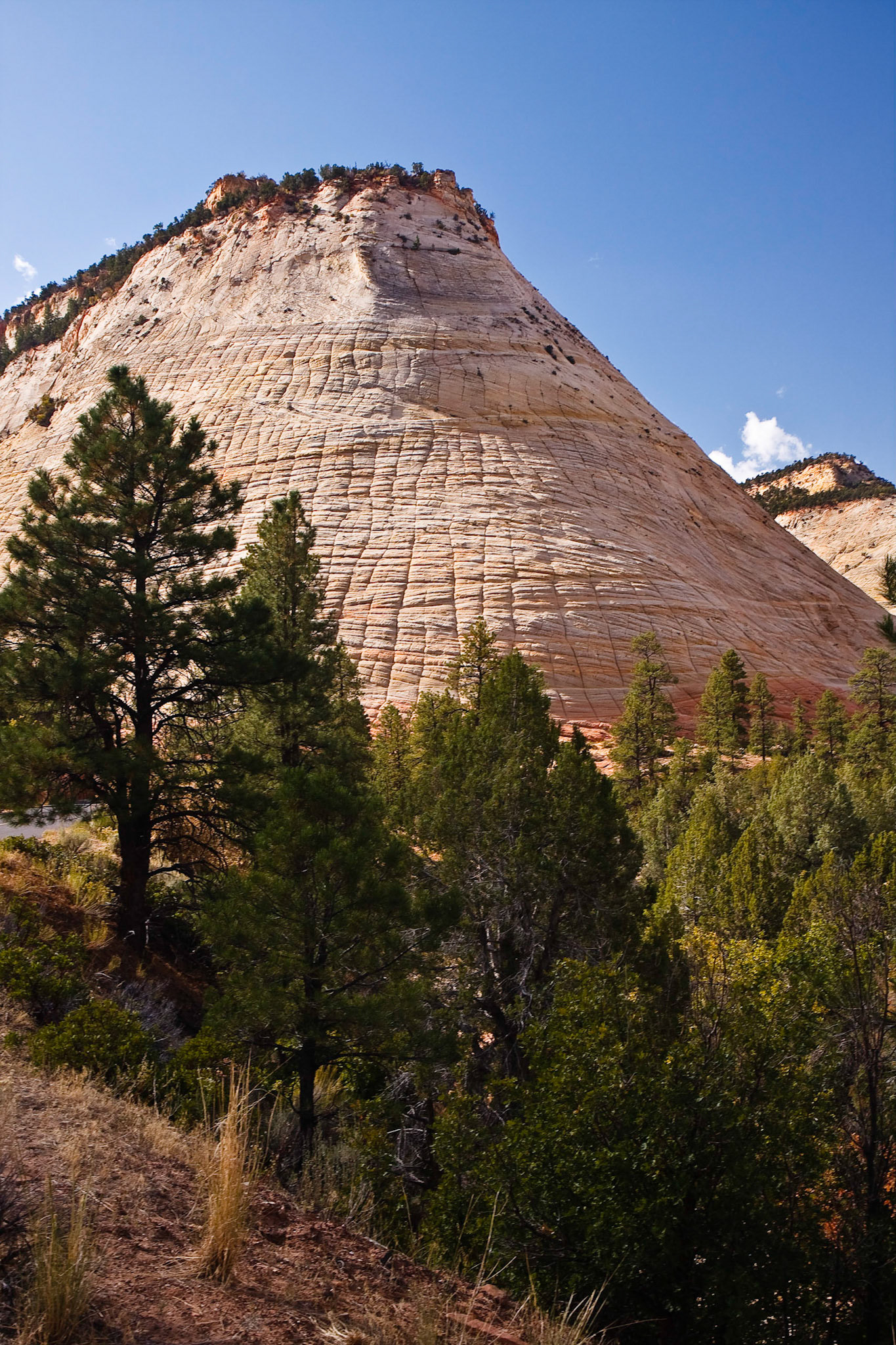 Zion National Park