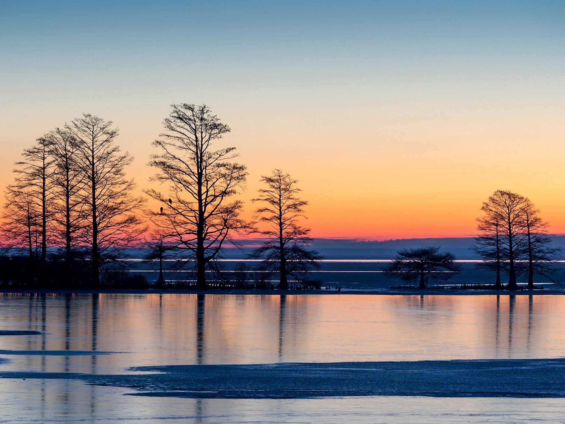 Lake Mattamuskeet, North Carolina