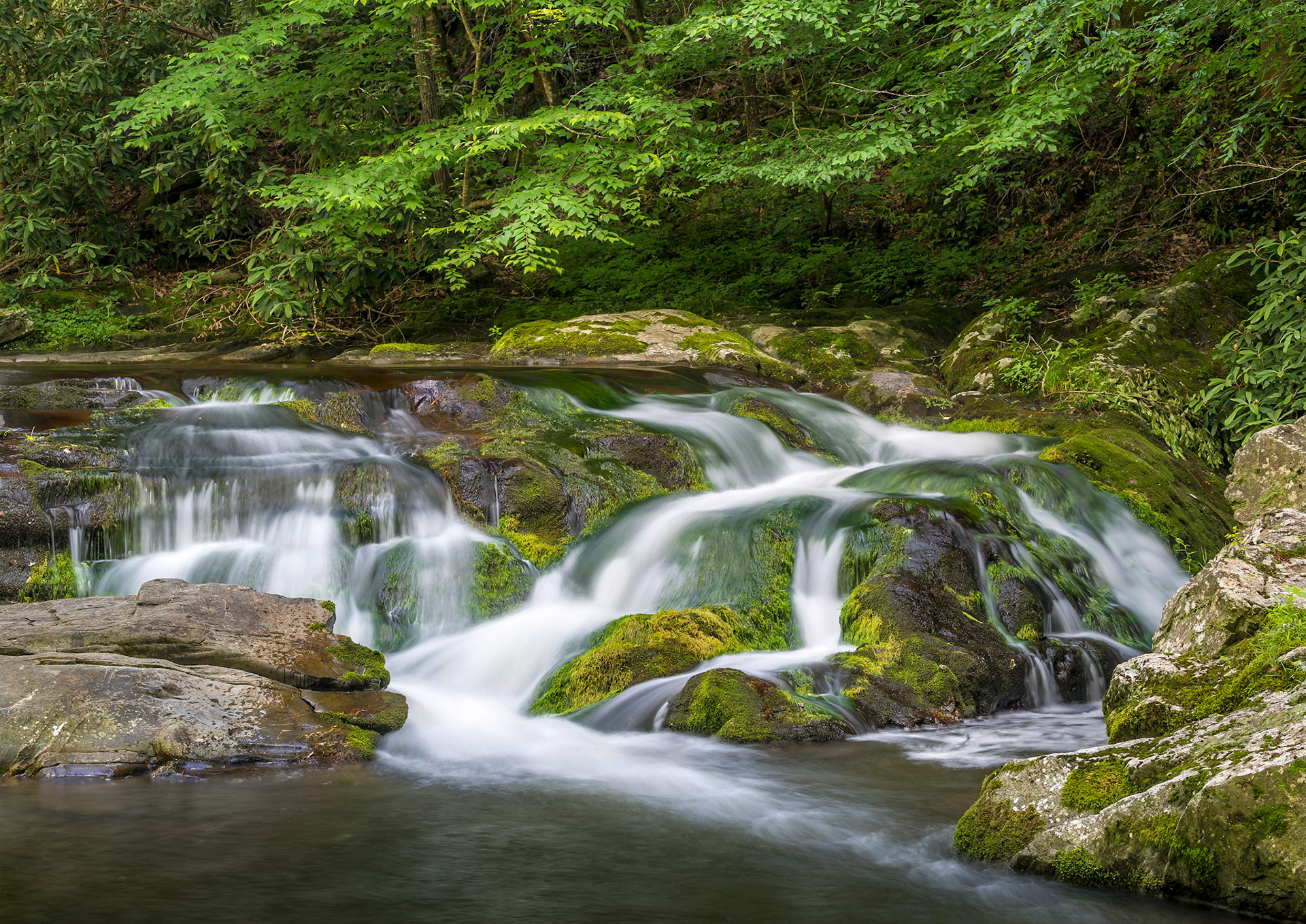 Great Smoky Mountains National Park, Tennessee