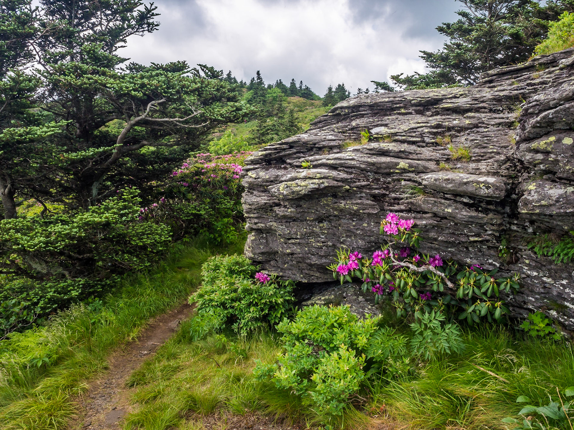 Appalachian Trail, Tennessee