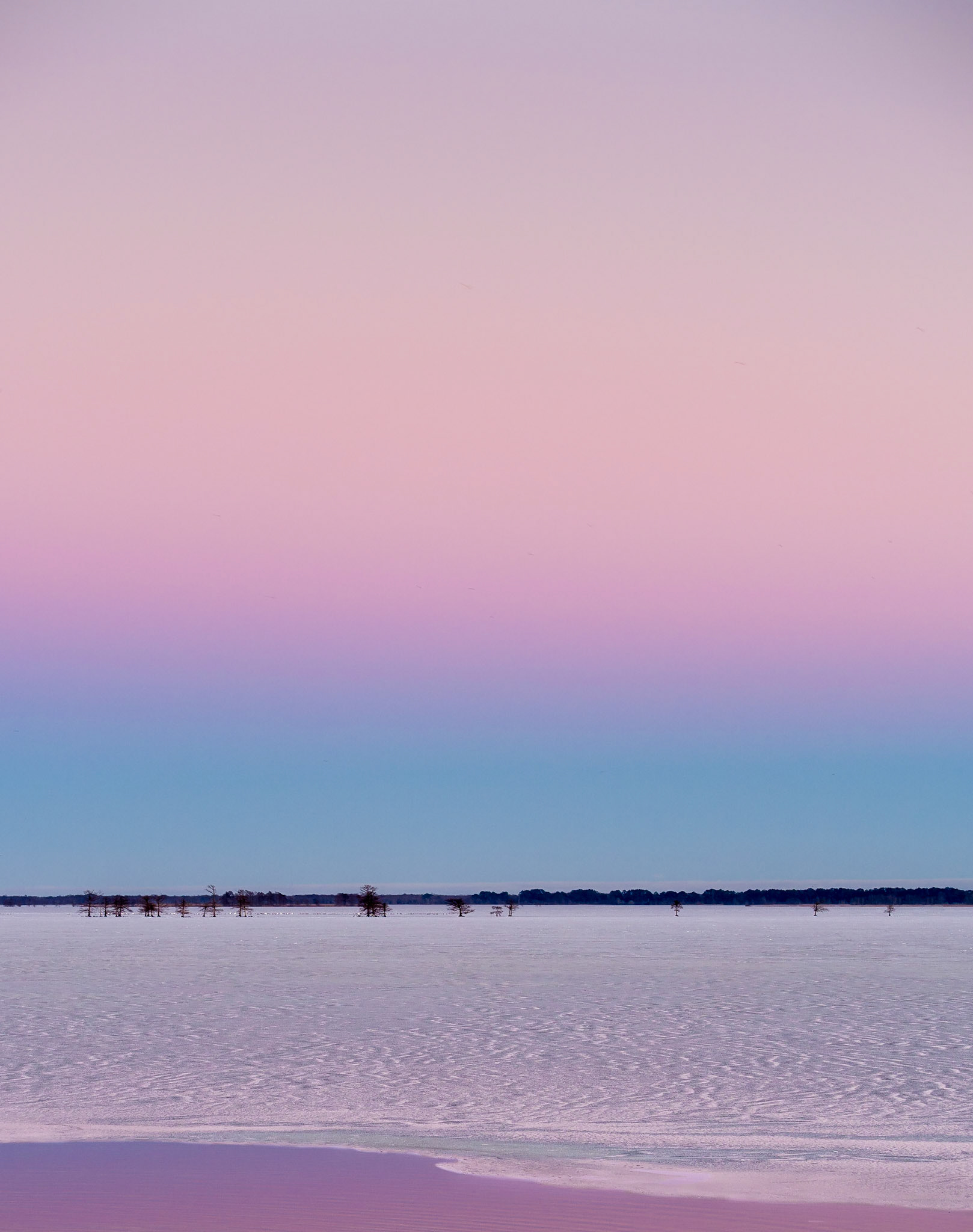 Lake Mattamuskeet, North Carolina