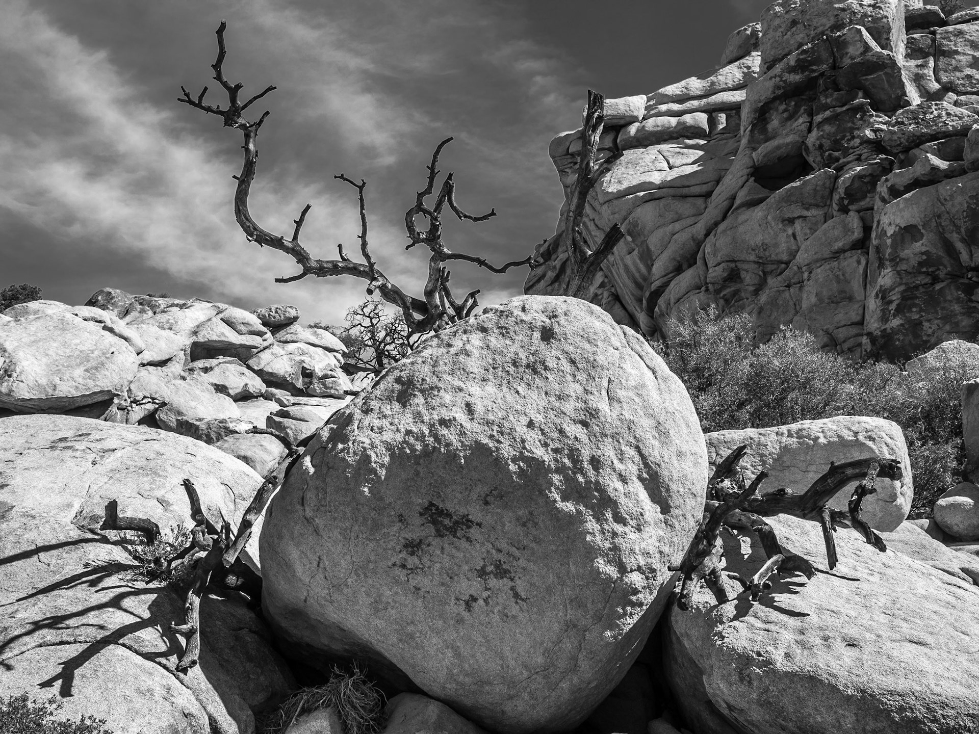 Joshua Tree National Park, California