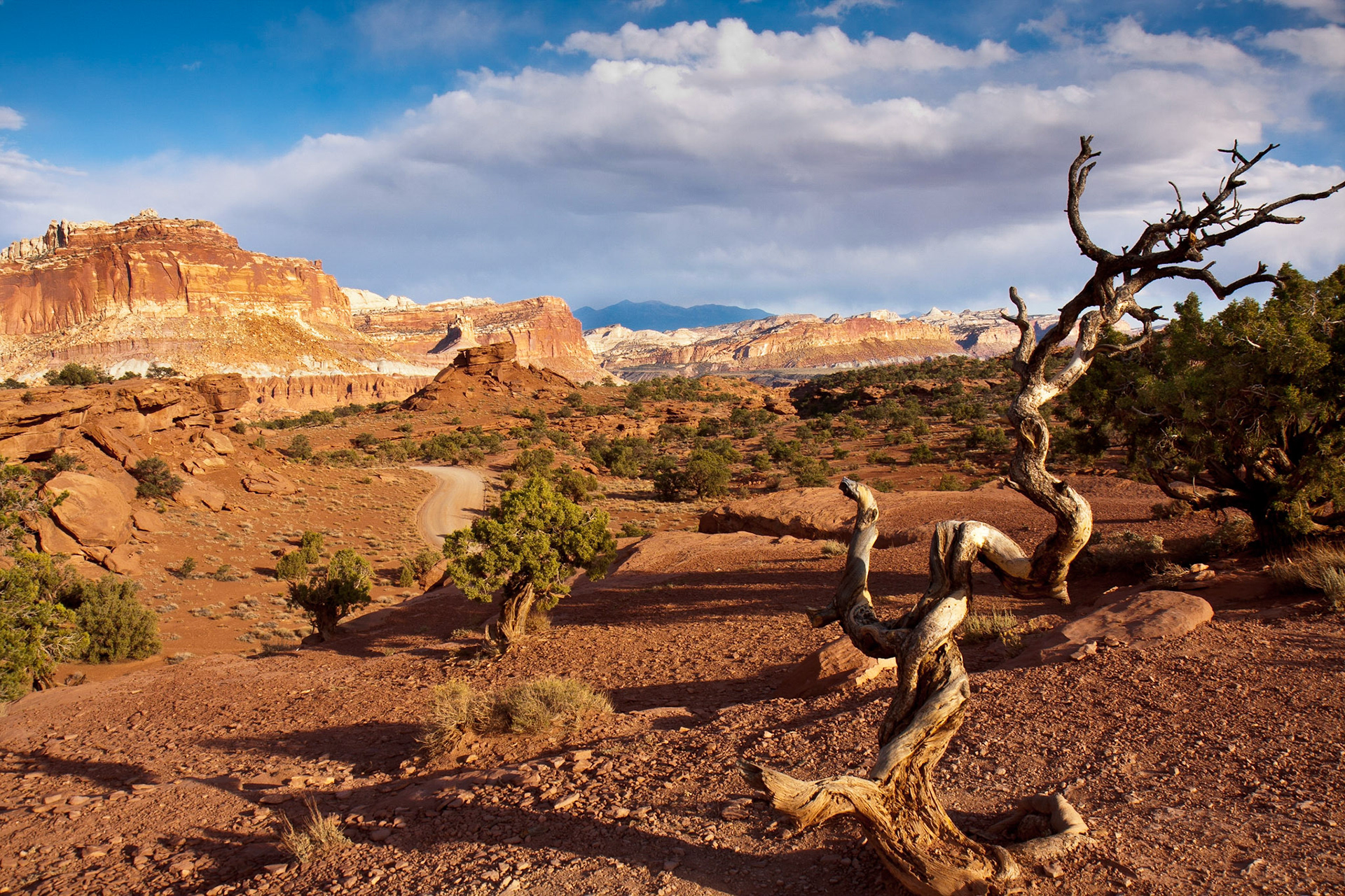 Capitol Reef National Park