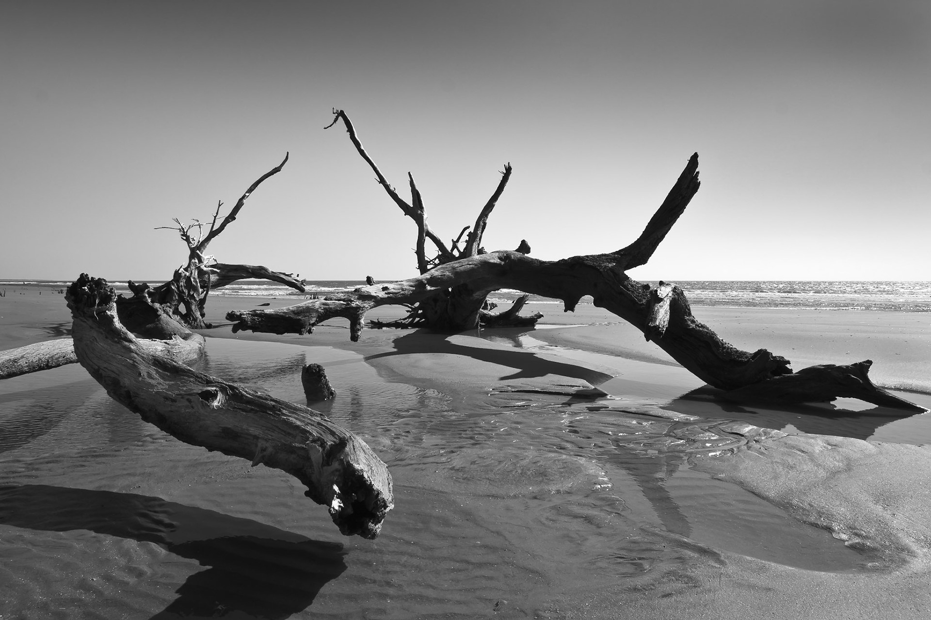 Capers Island, South Carolina