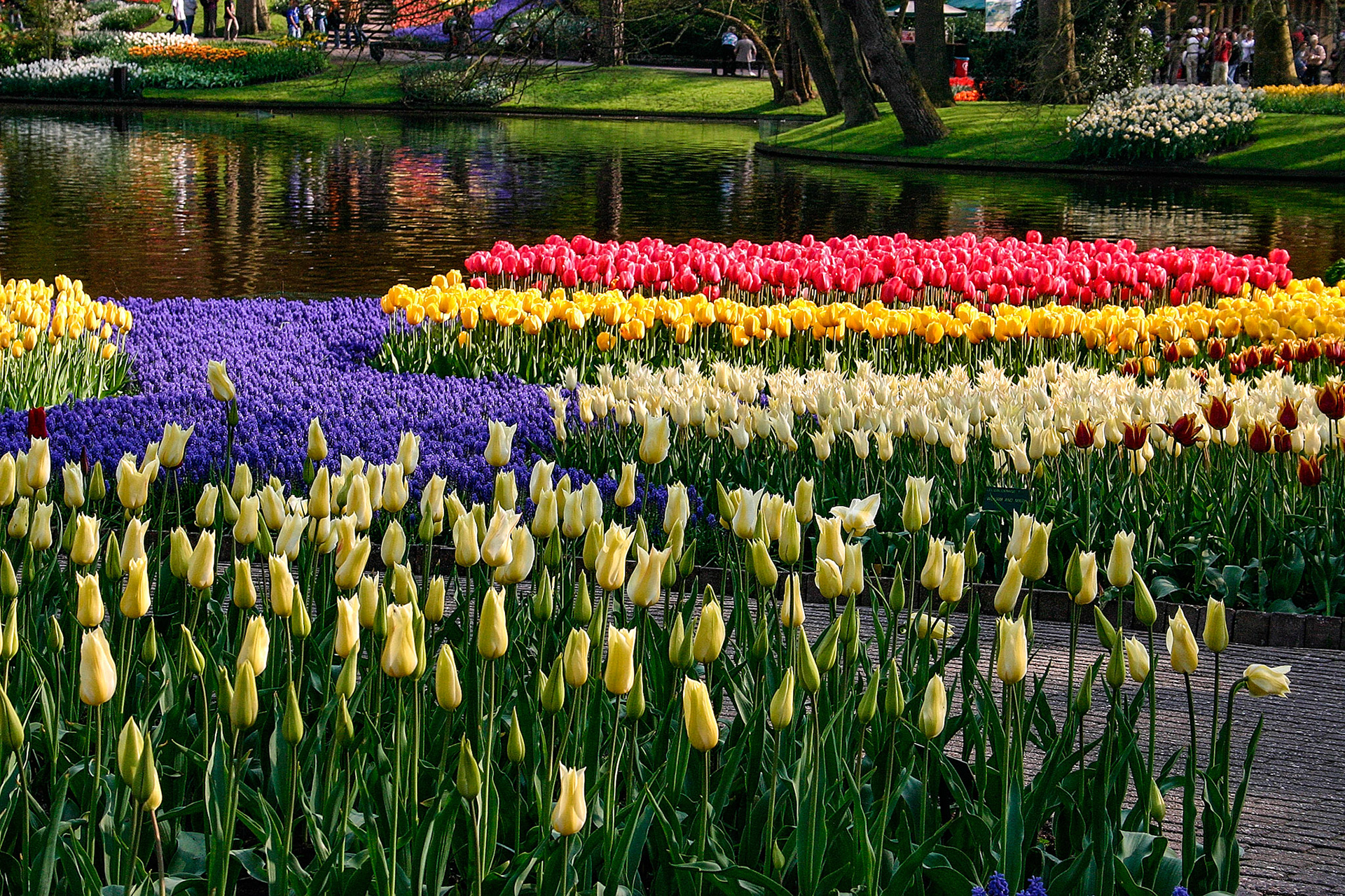 Keukenhoff Gardens, The Netherlands