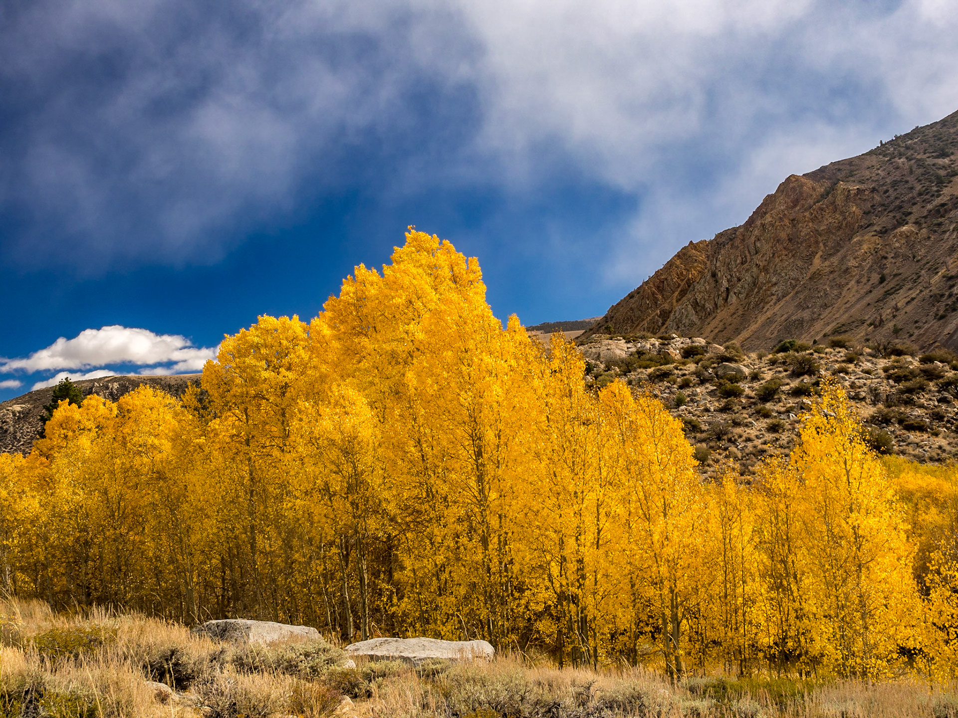 Aspendell, California
