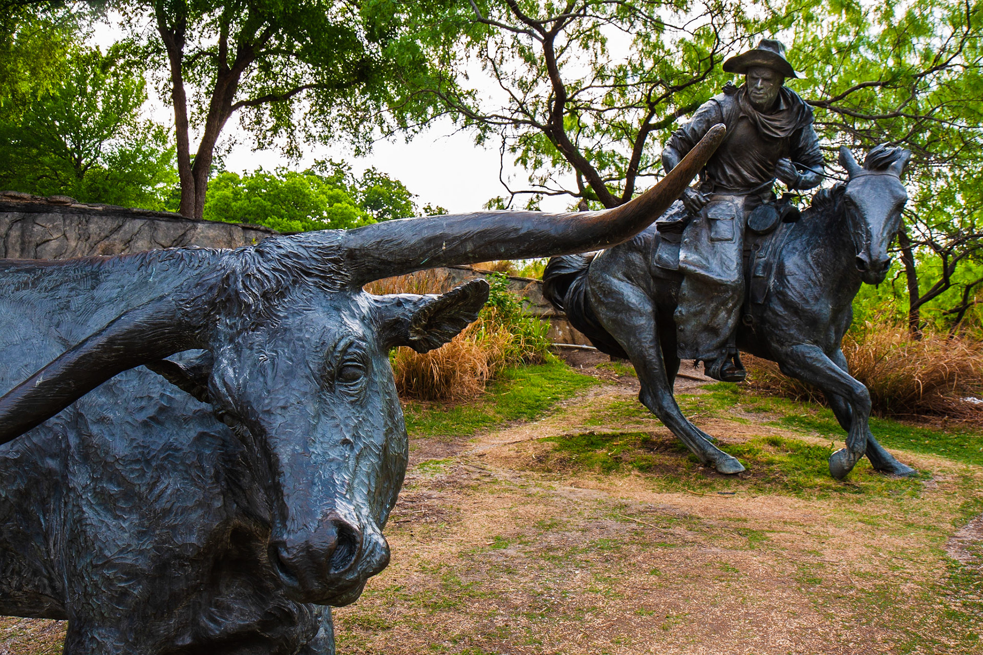 Pioneer Plaza Cattle Drive, Dallas Texas