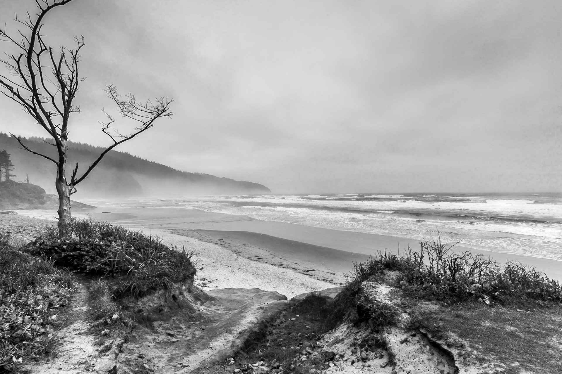 Cape Lookout State Park, Oregon