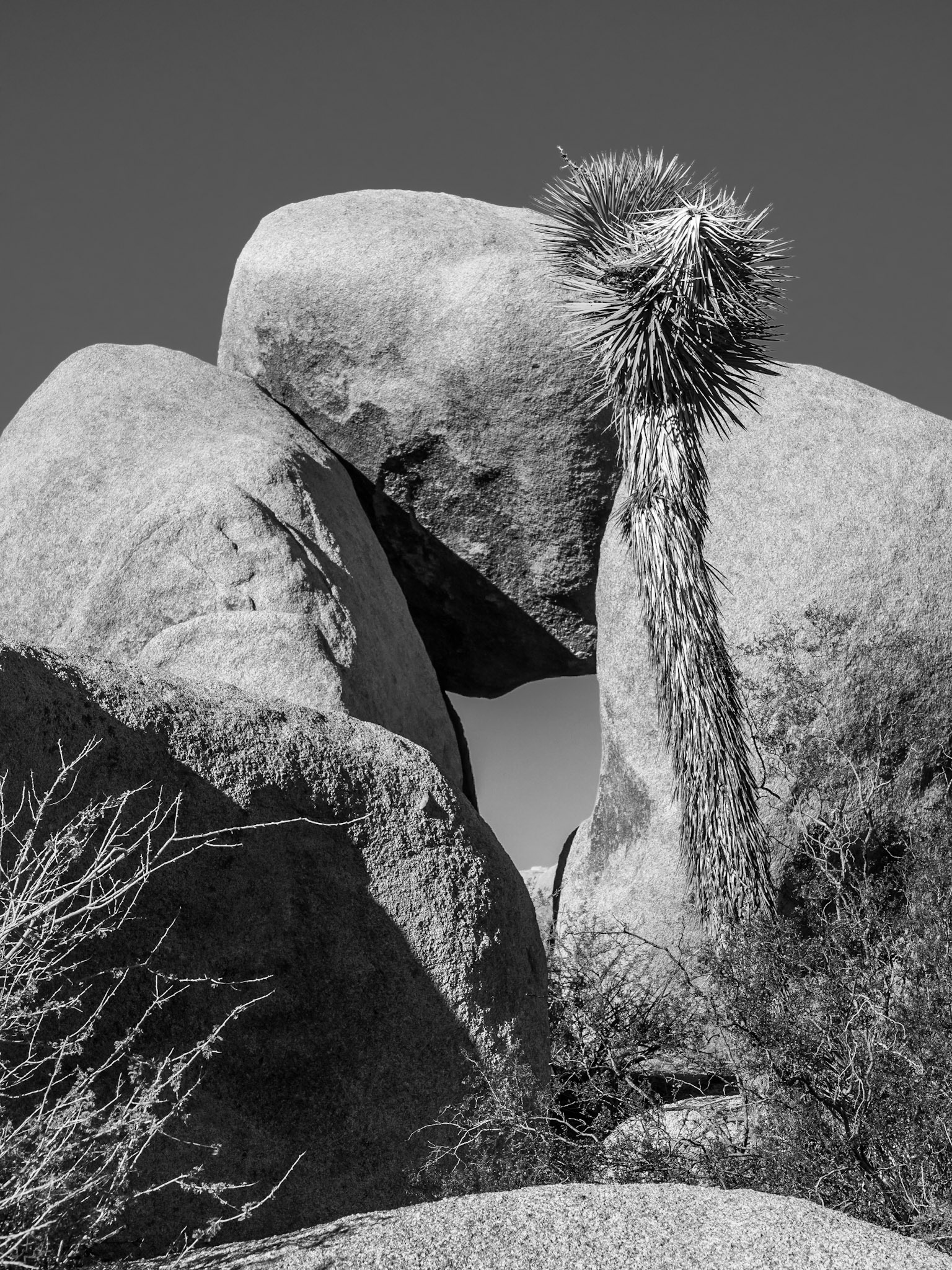 Joshua Tree National Park, California