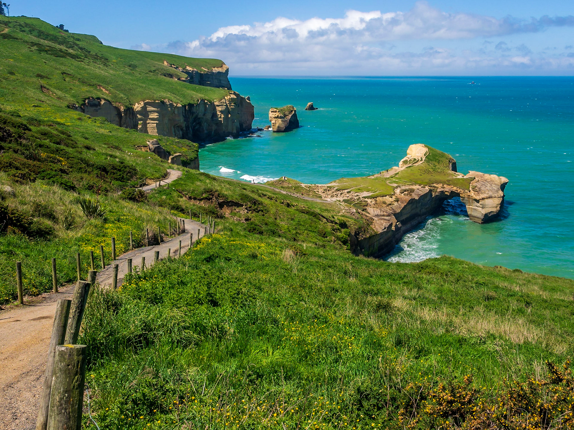 Dunedin, New Zealand
