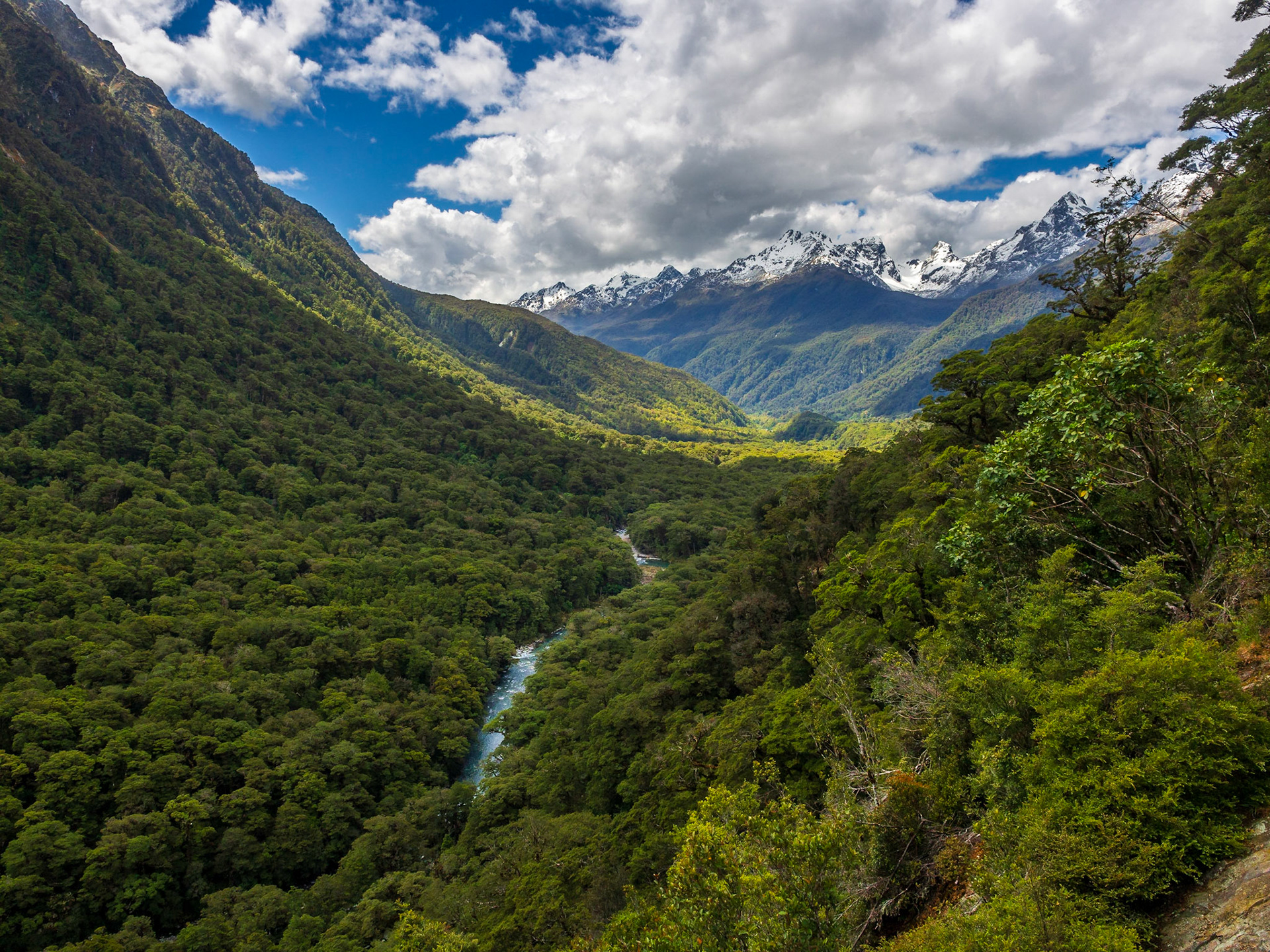 Hollyford Valley, New Zealand