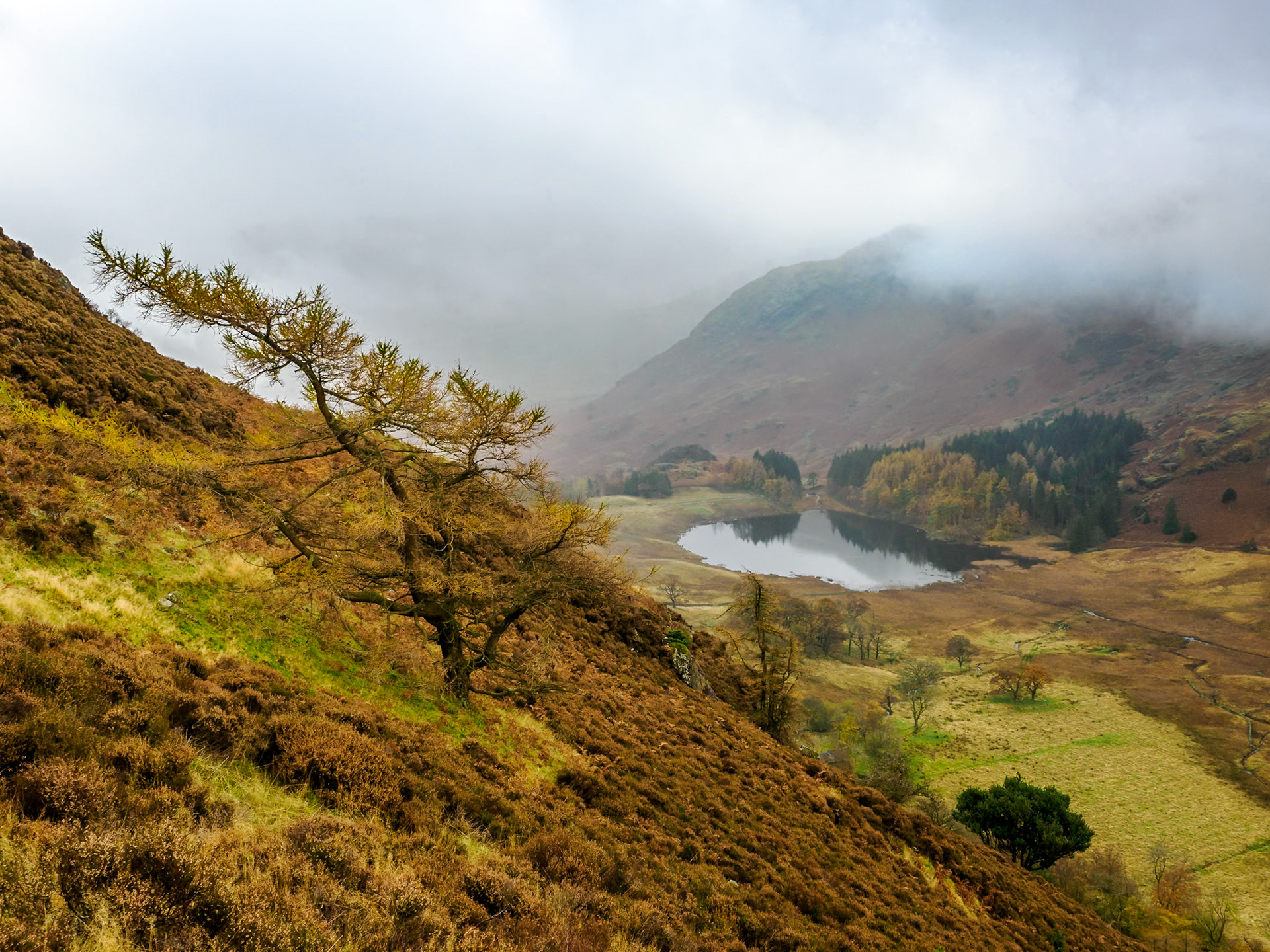 Blea Tarn-Lingmoor Fell-Side Pike hike