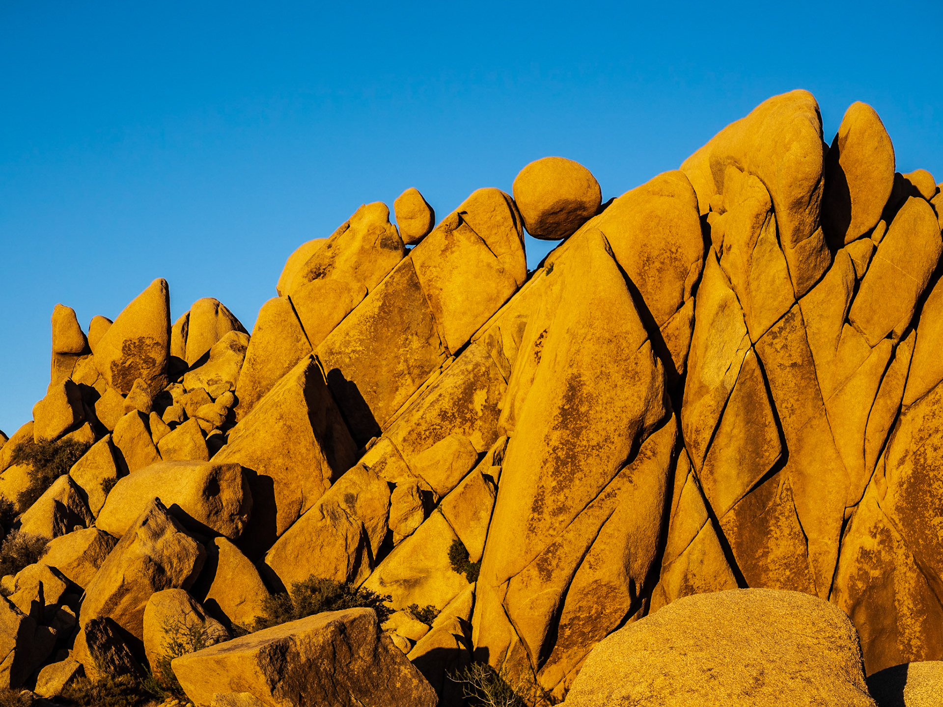 Joshua Tree National Park