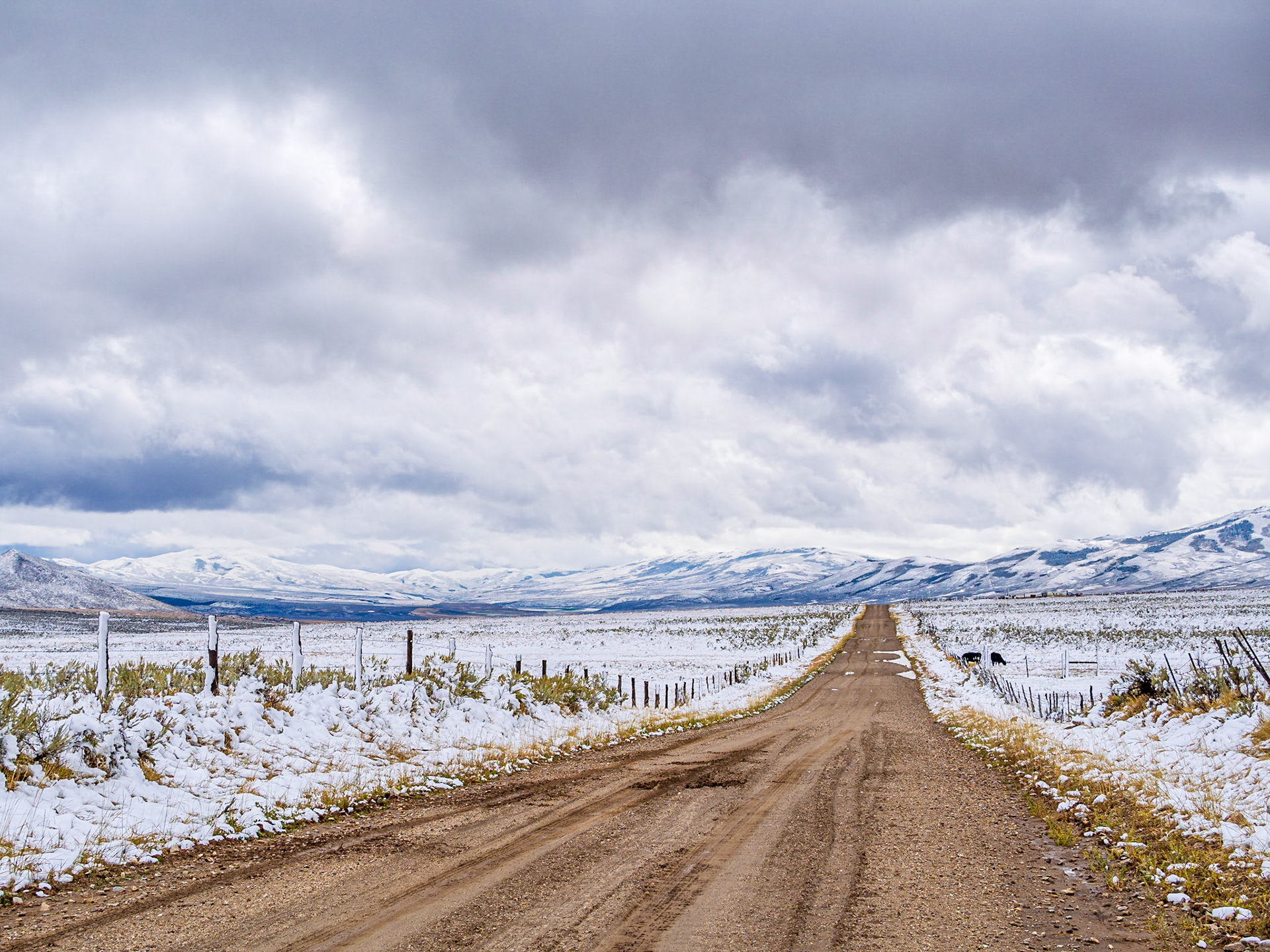 The auto tour went out of the park and another dirt road outside the park goes north to get back into the park.