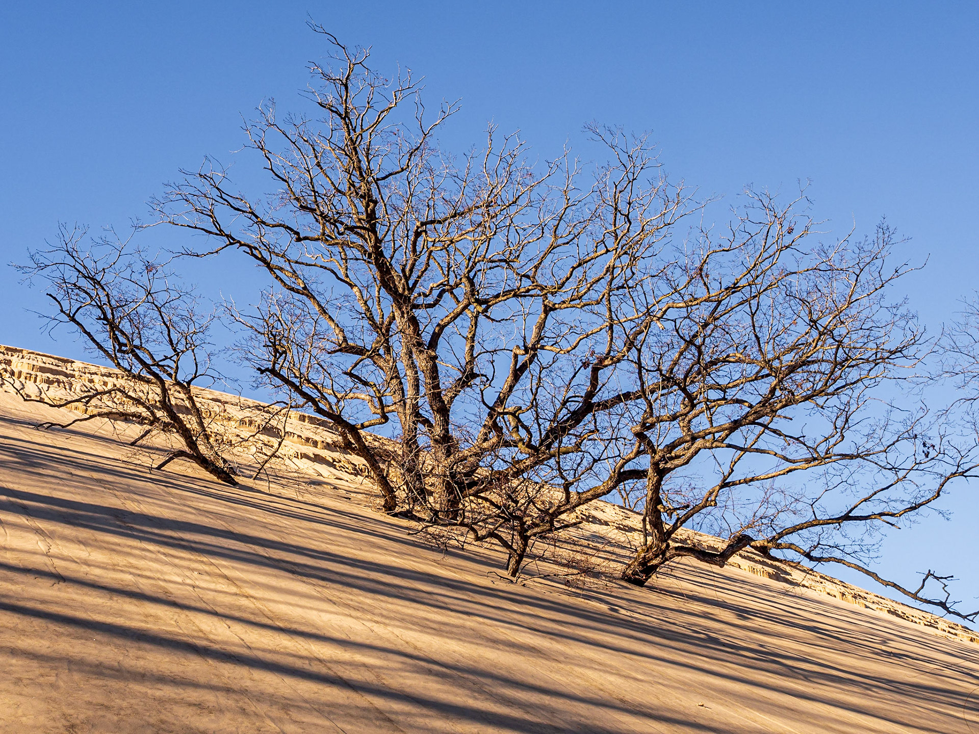 Indiana Sand Dunes National Park, Indiana