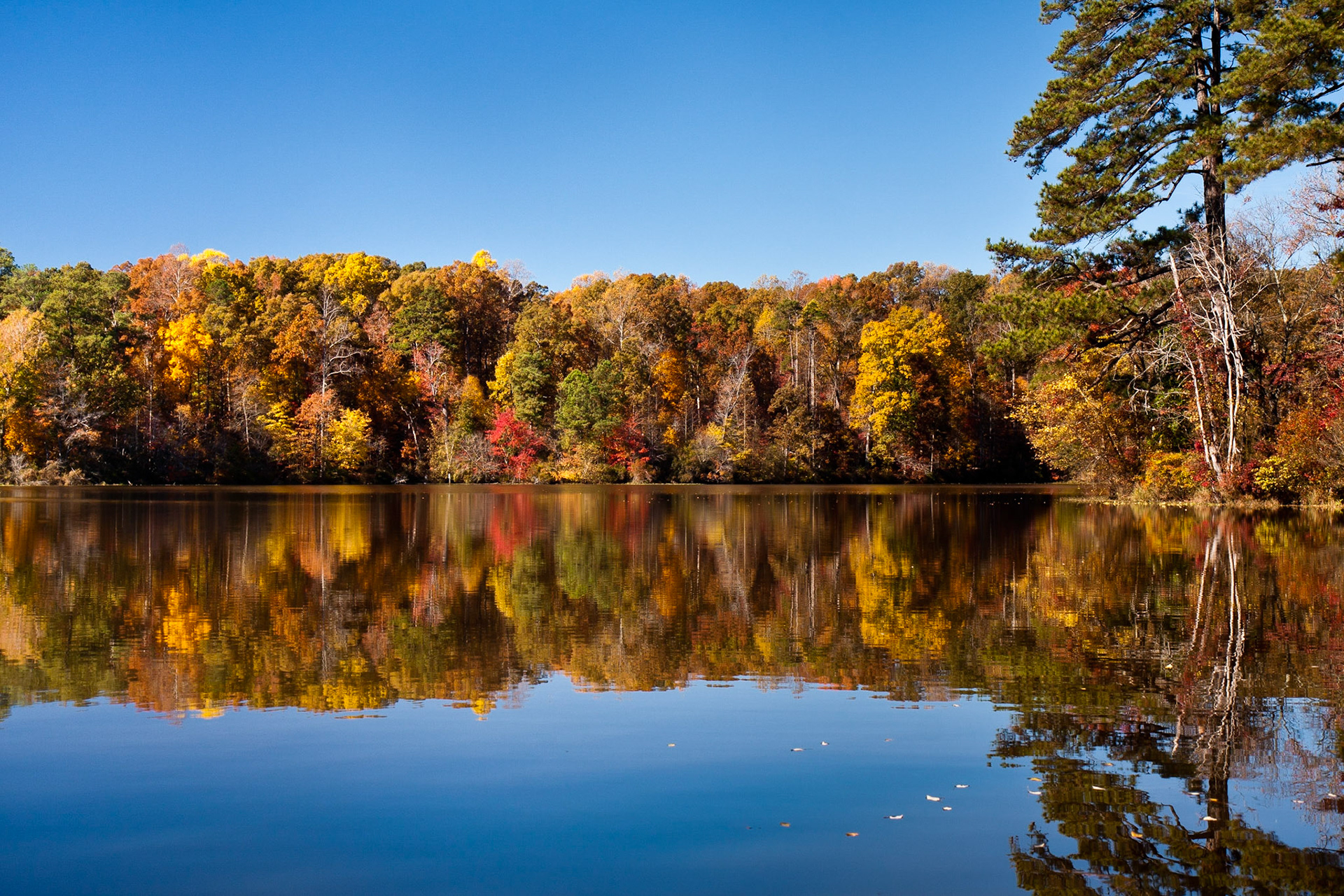 Raleigh, North Carolina