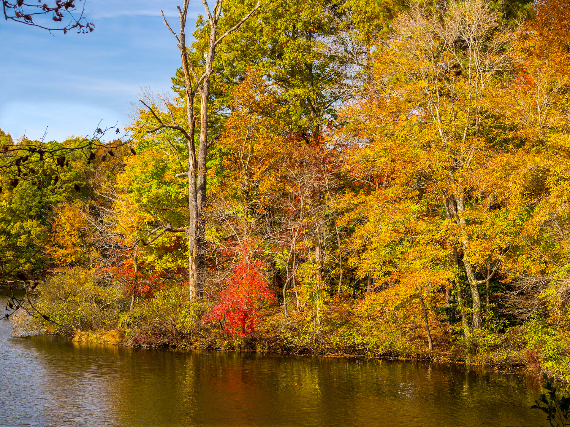 Umstead State Park, North Carolina