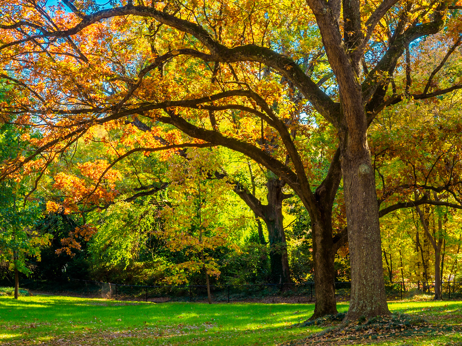 Pullen Park, Raleigh, NC