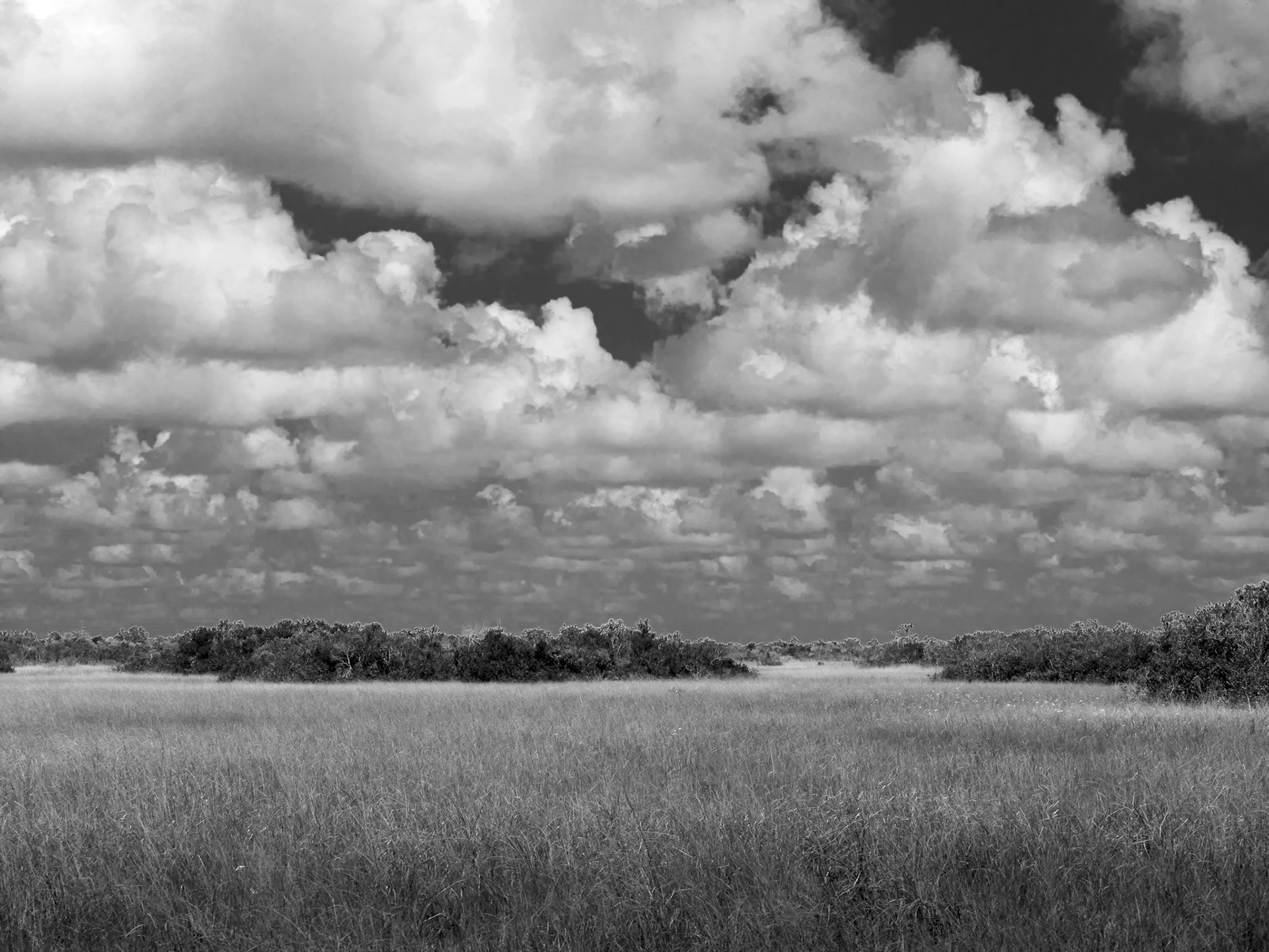 Clouds Over the Everglades
