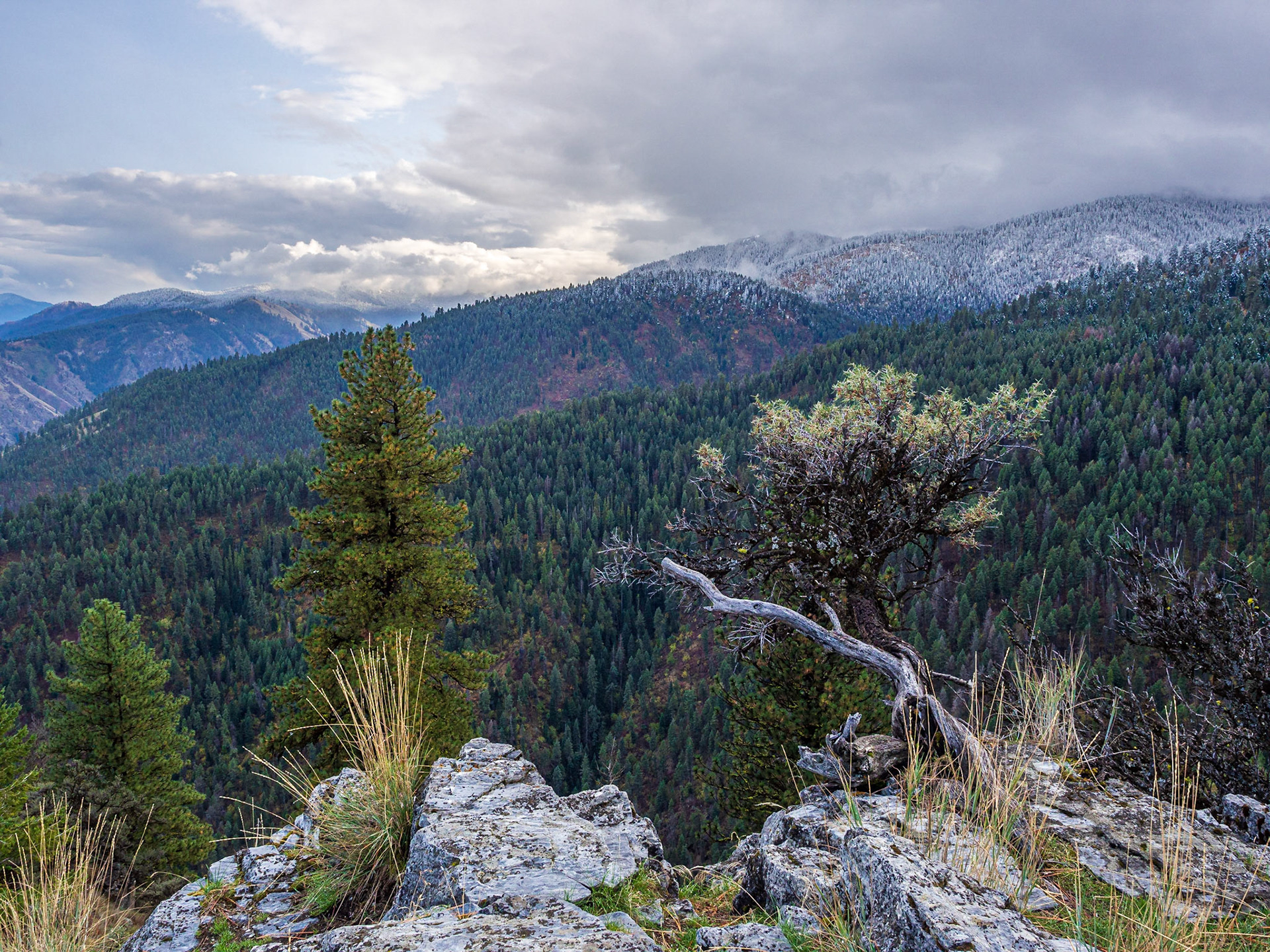 Looking southwest from the Promontory
