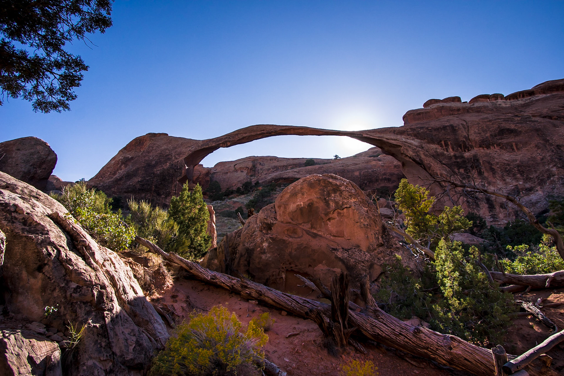 Arches National Park