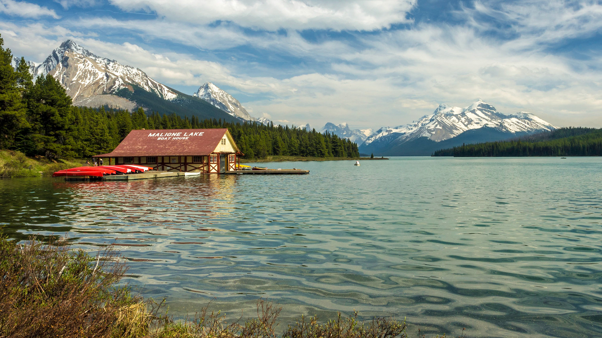 Jasper National Park, Alberta, Canada